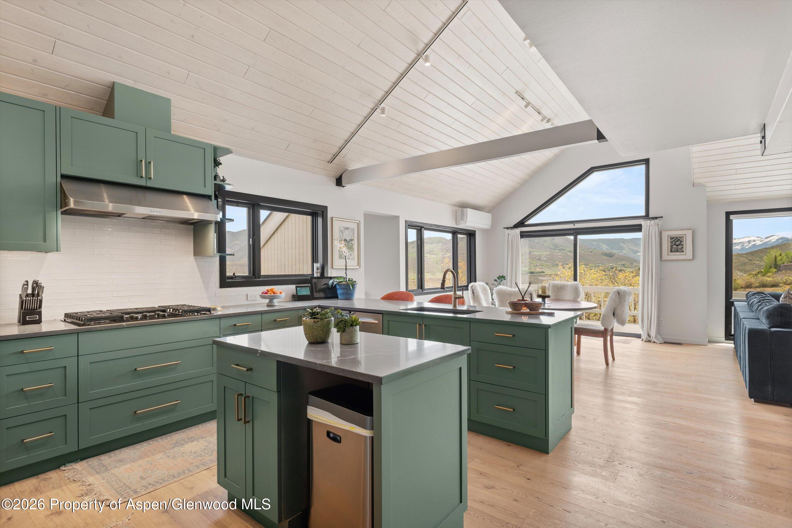 450 Solar Way Aspen CO 81611
