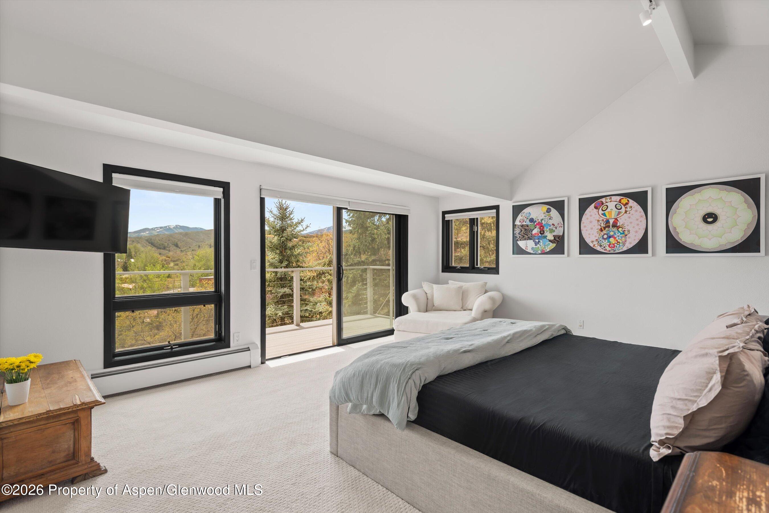 450 Solar Way Aspen CO 81611