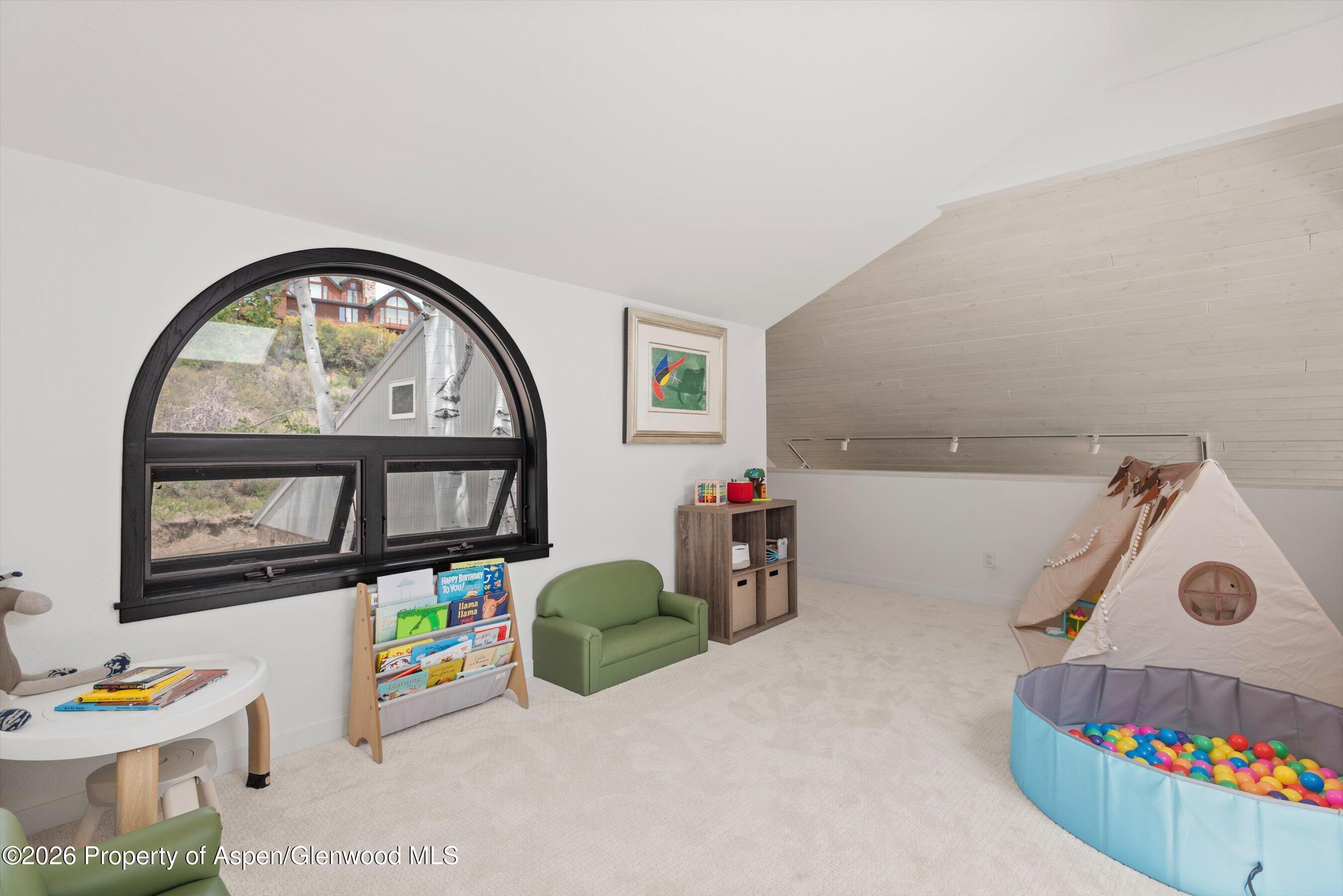 450 Solar Way Aspen CO 81611