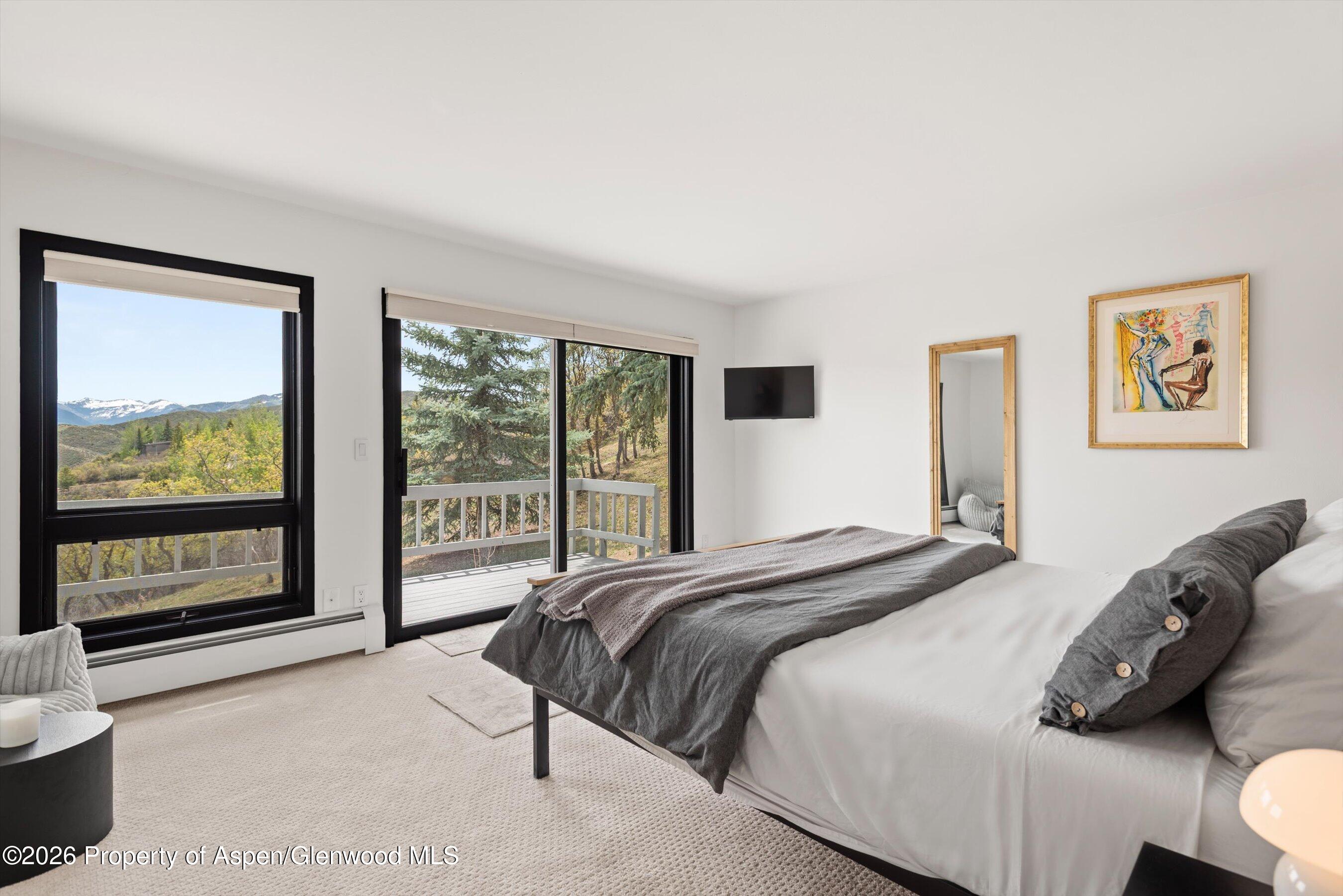 450 Solar Way Aspen CO 81611