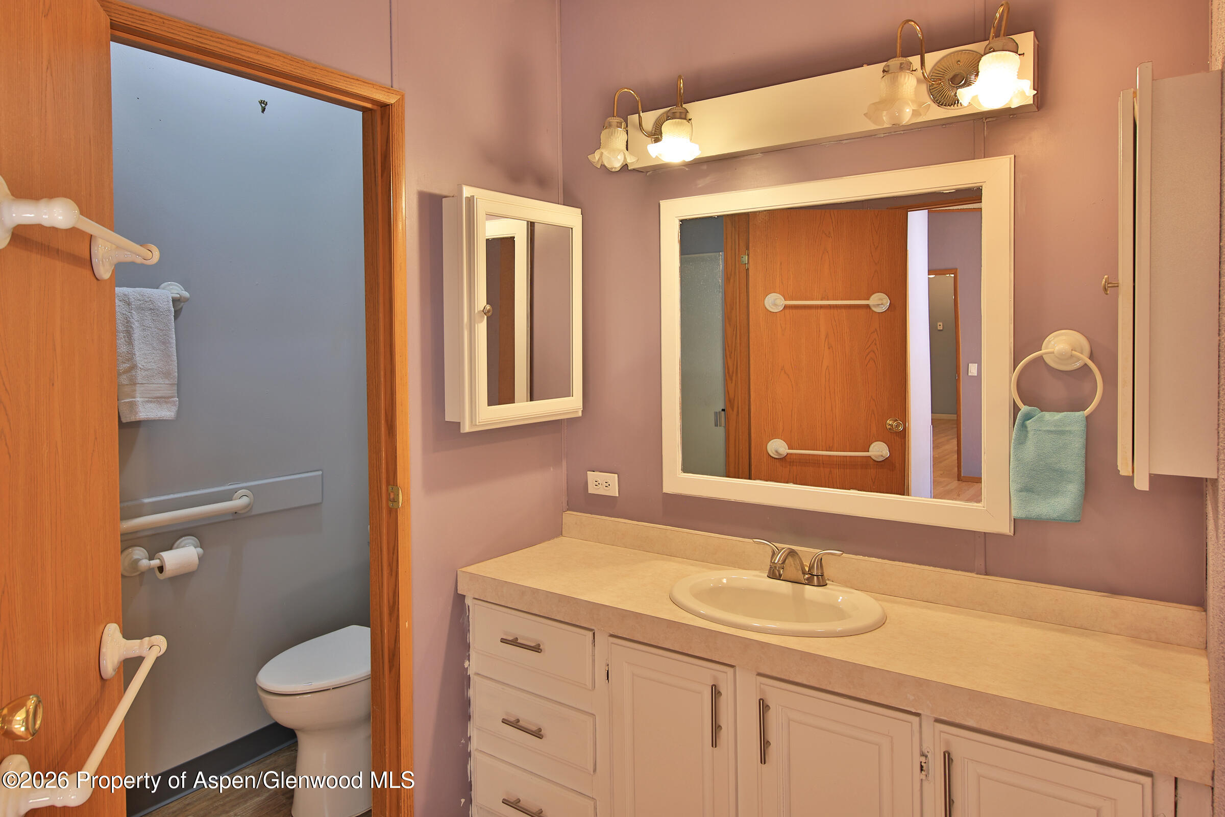 679 Brentwood Drive Palisade CO 81526