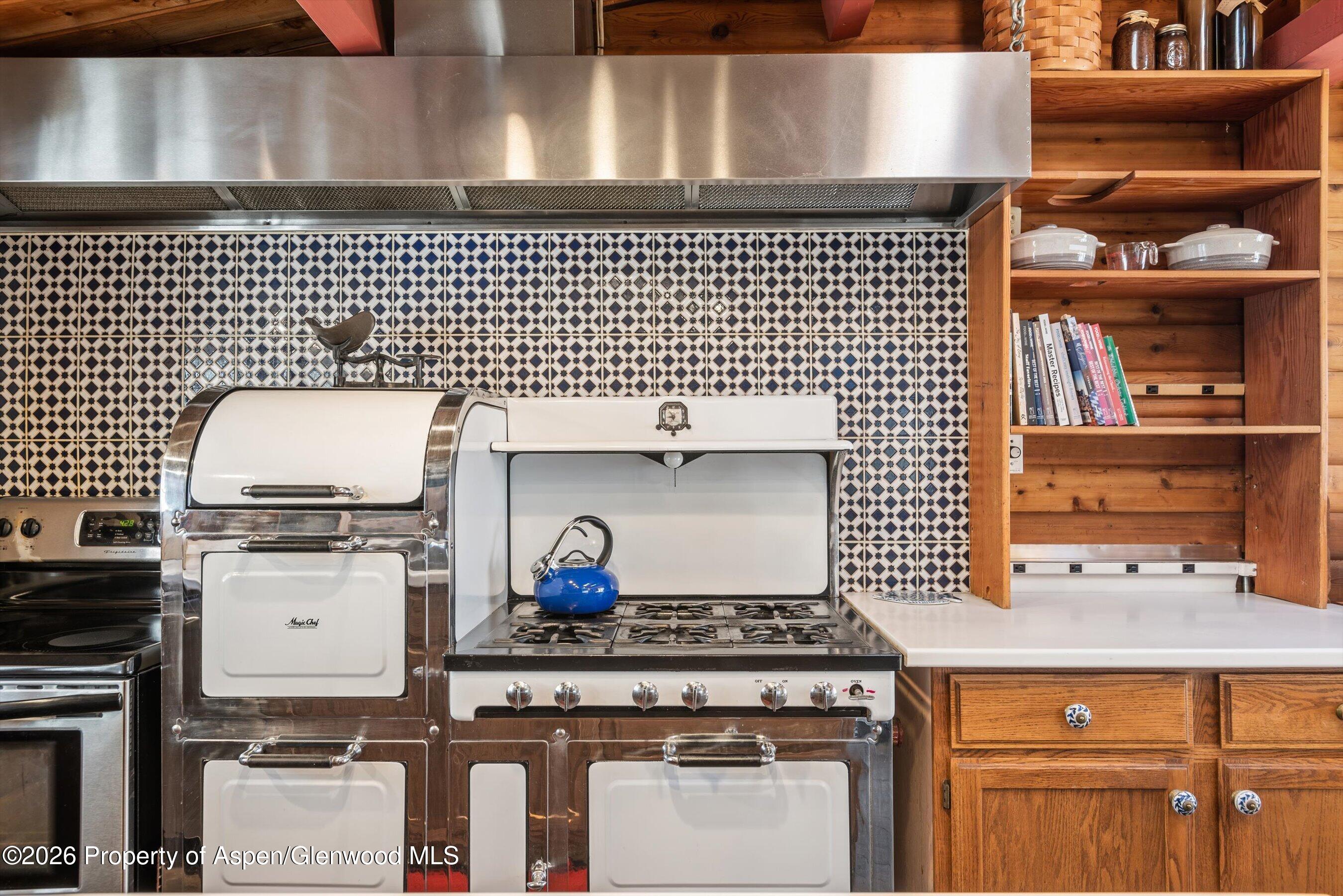 246 Roaring Fork Drive Aspen CO 81611