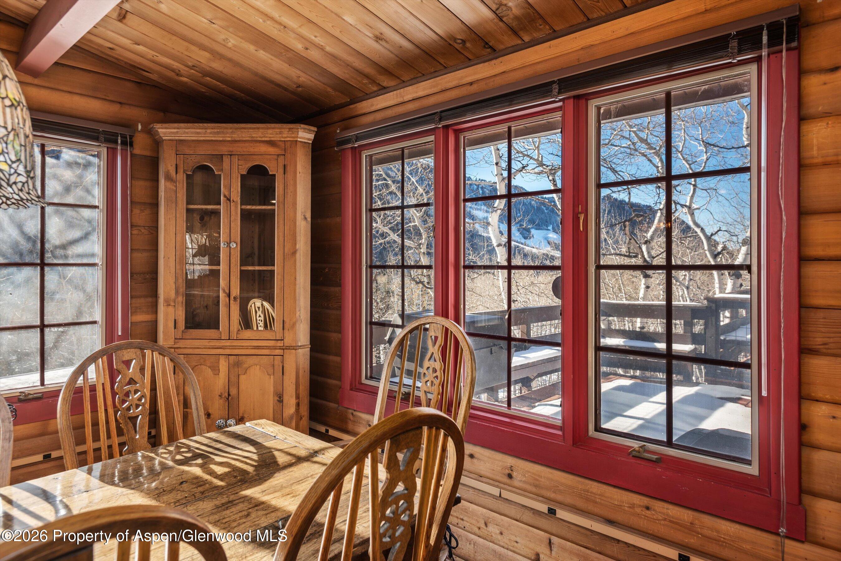 246 Roaring Fork Drive Aspen CO 81611