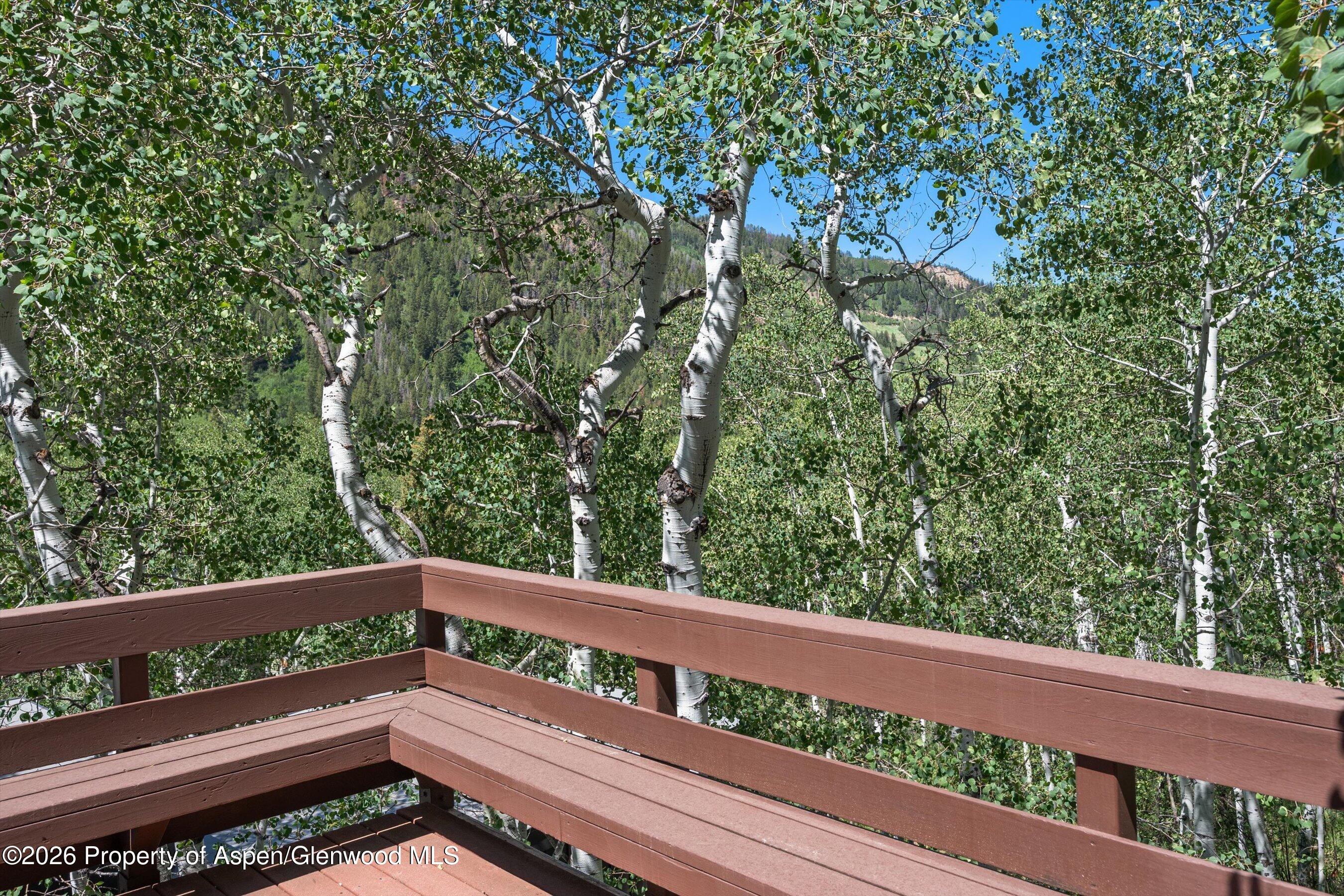 246 Roaring Fork Drive Aspen CO 81611