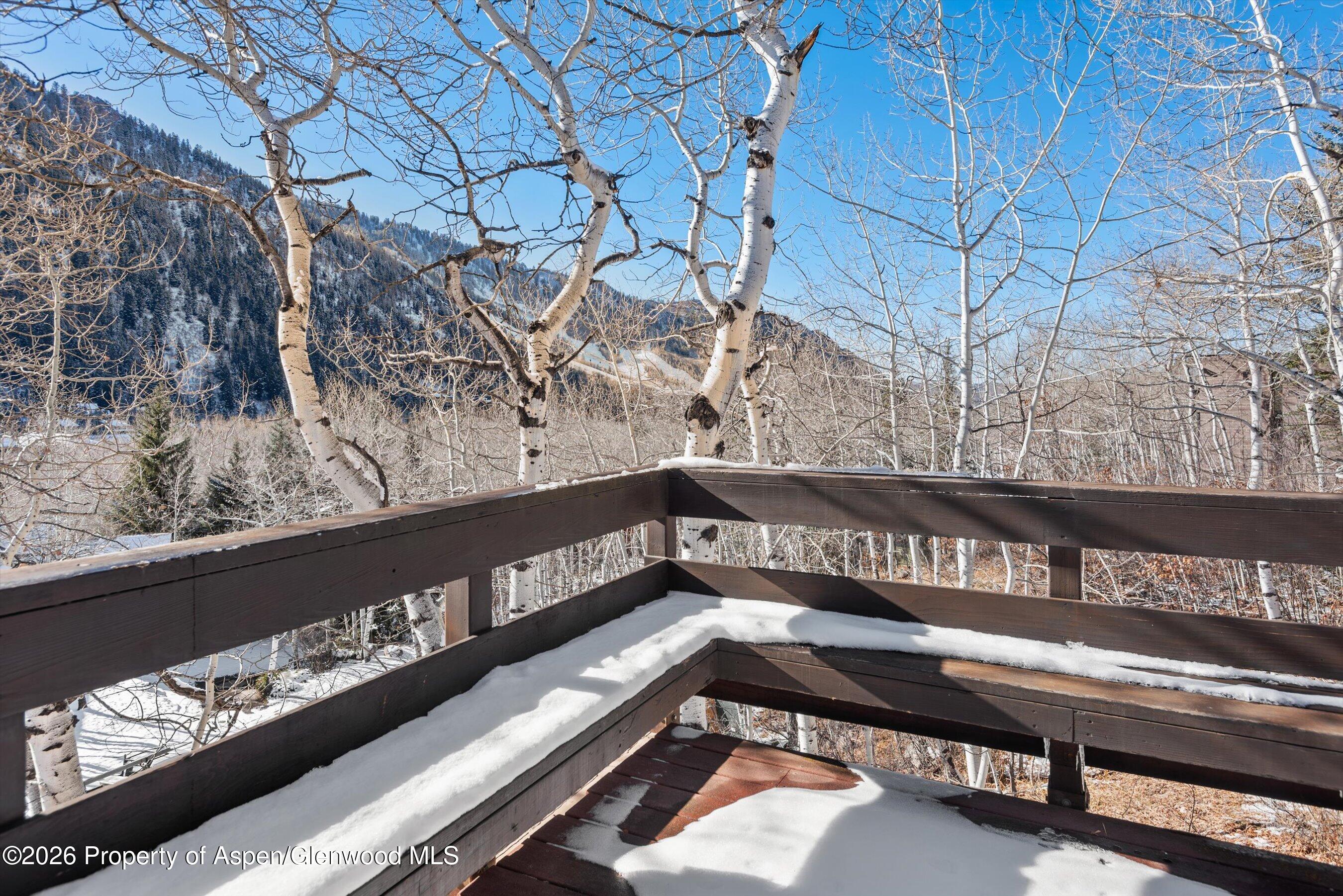 246 Roaring Fork Drive Aspen CO 81611