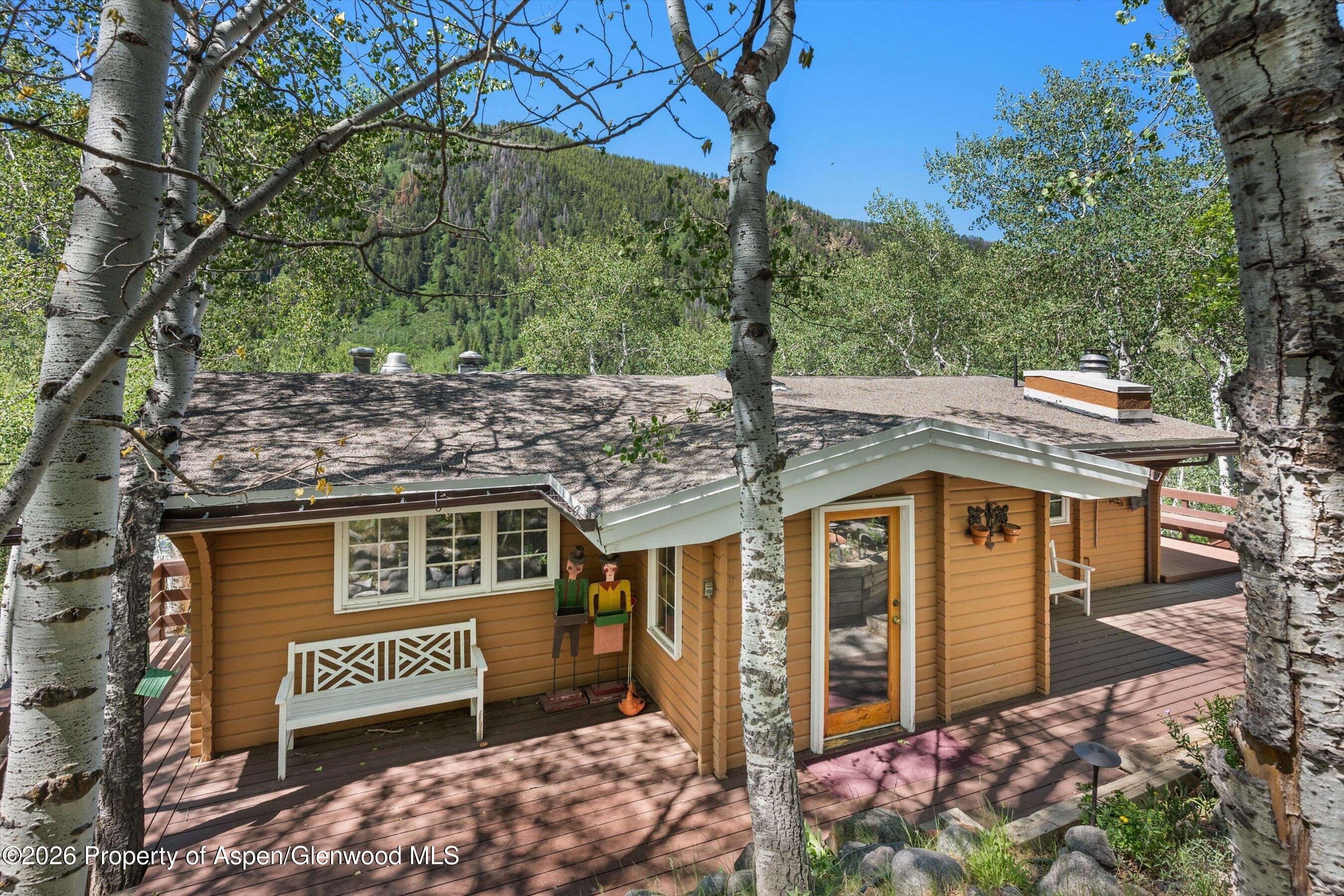 246 Roaring Fork Drive Aspen CO 81611