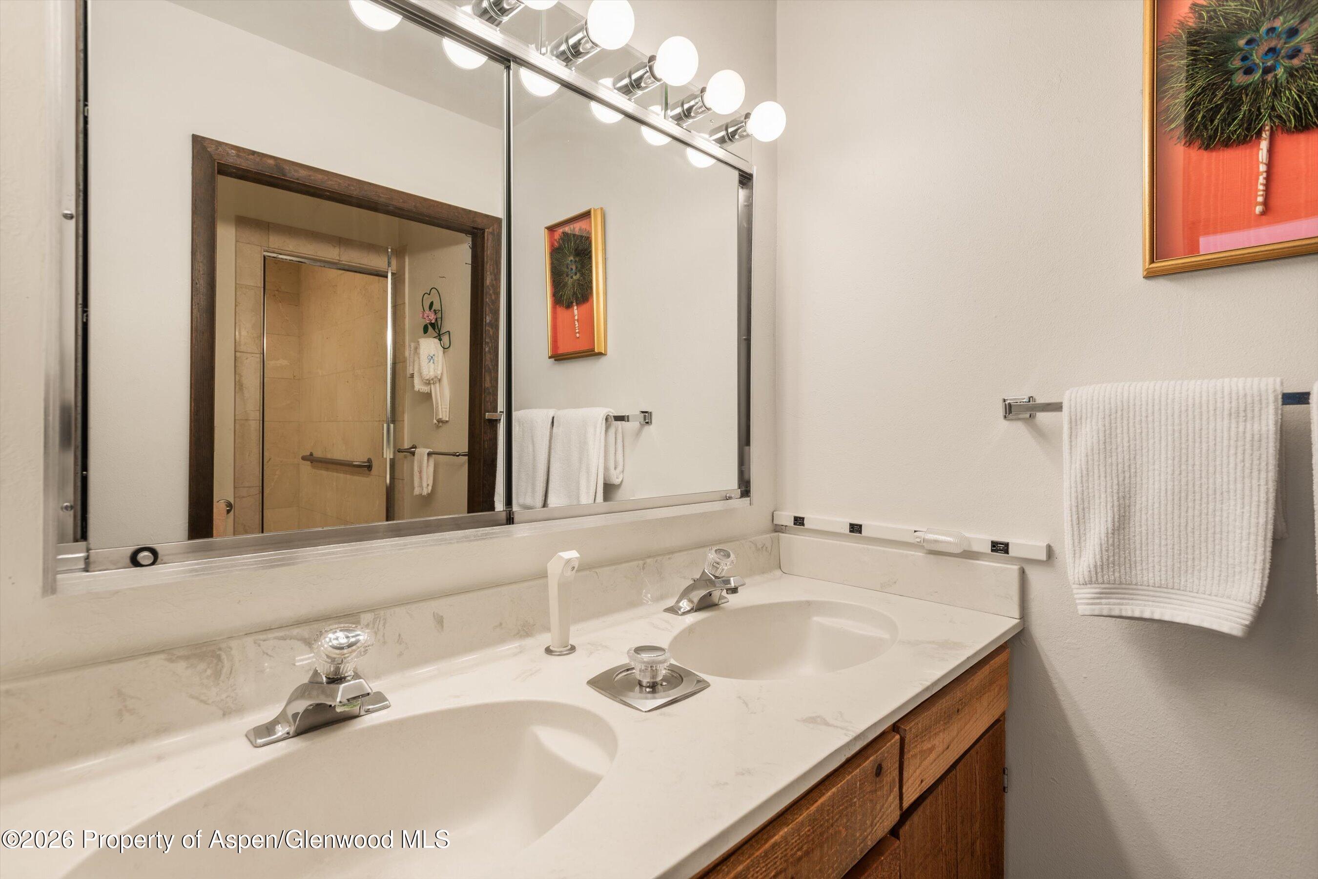 246 Roaring Fork Drive Aspen CO 81611