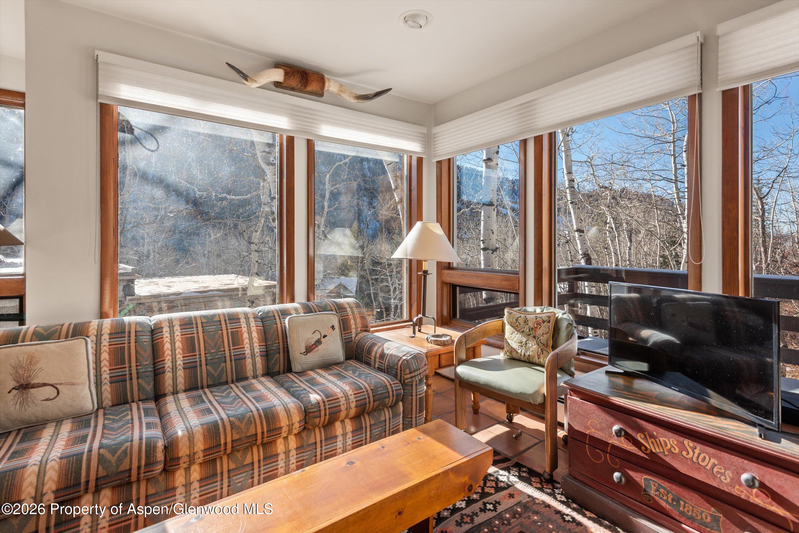 246 Roaring Fork Drive Aspen CO 81611