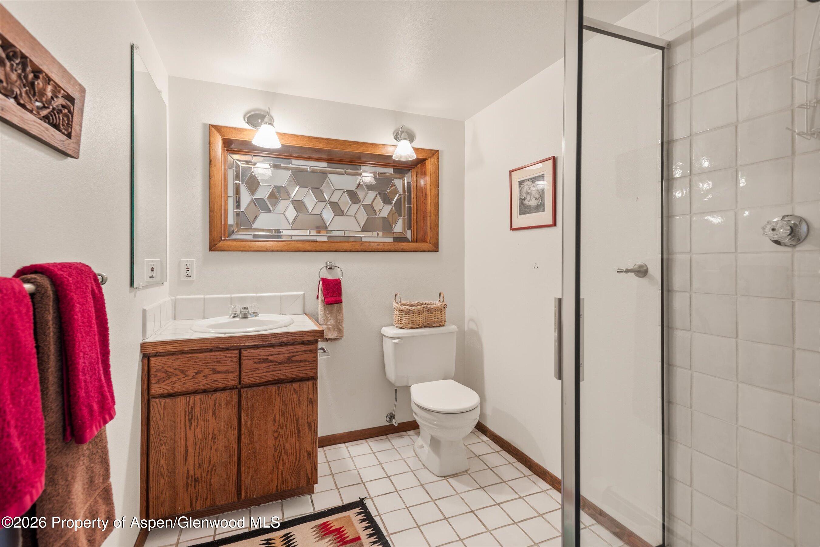 246 Roaring Fork Drive Aspen CO 81611