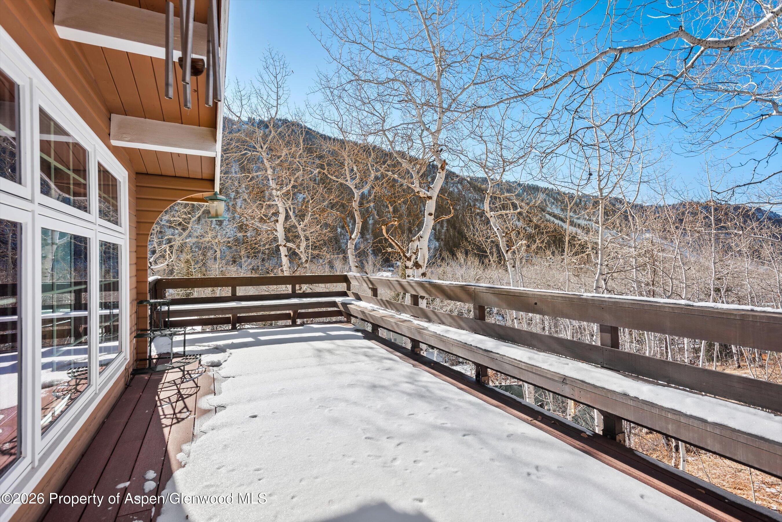 246 Roaring Fork Drive Aspen CO 81611