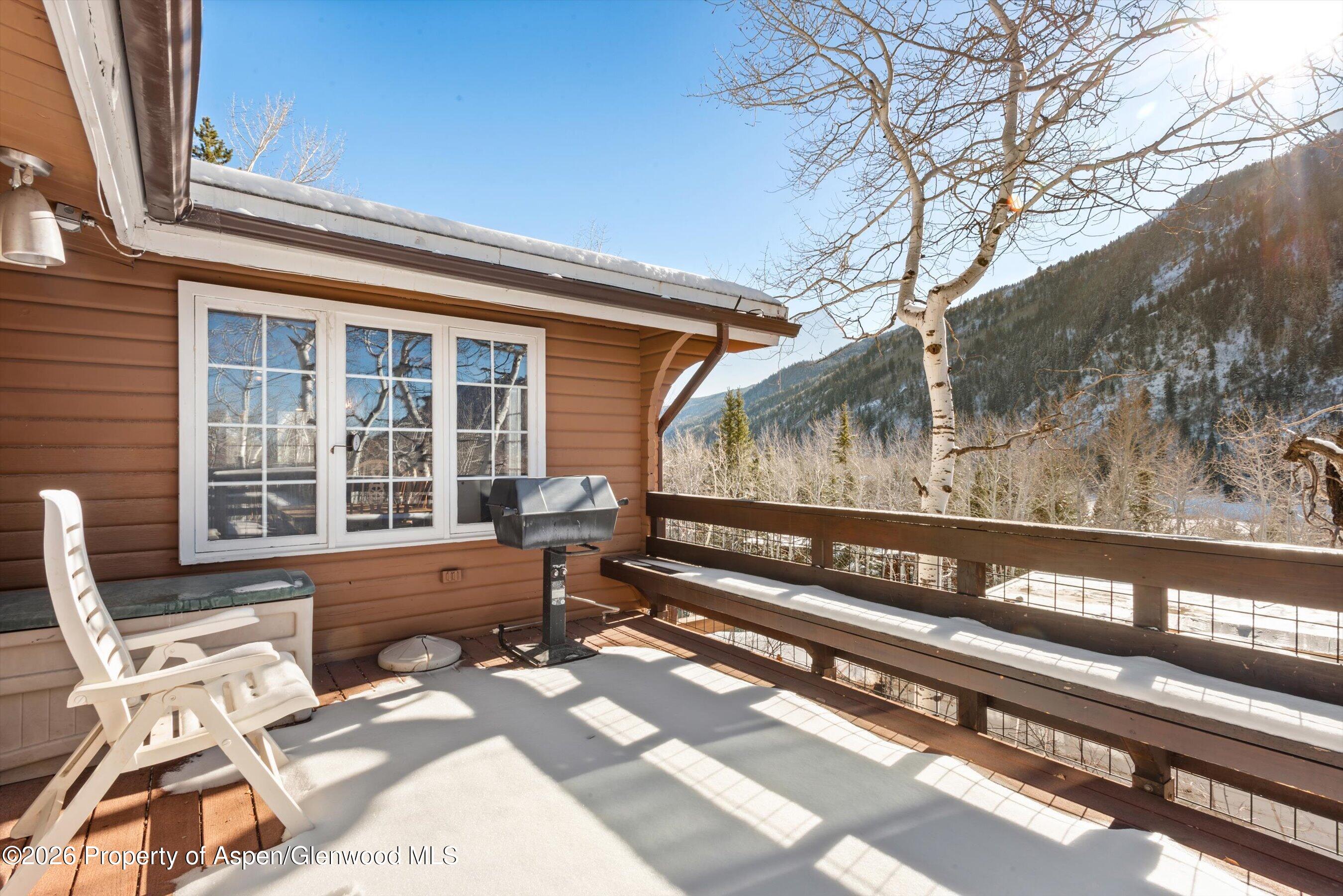 246 Roaring Fork Drive Aspen CO 81611