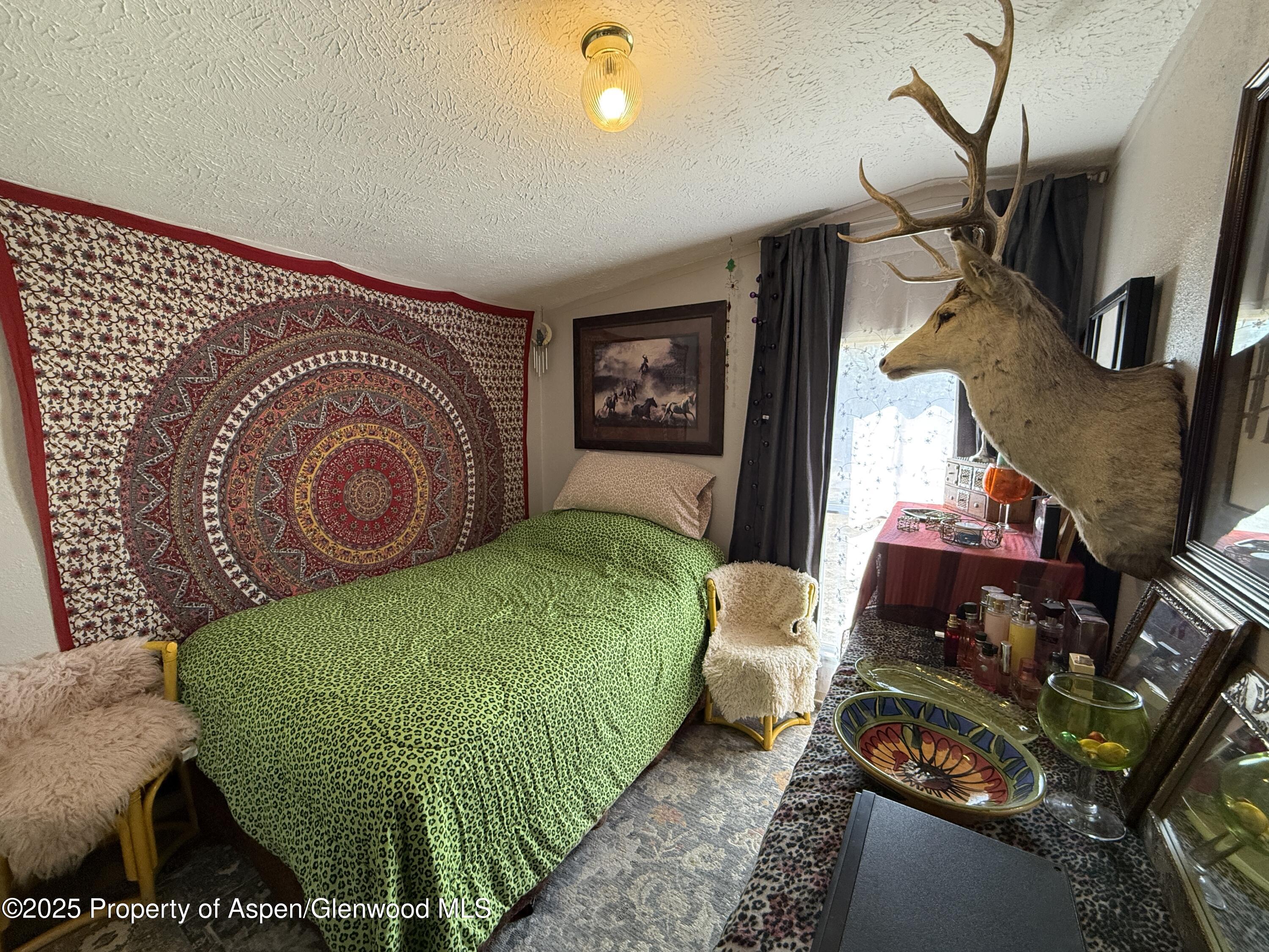 312 Ceratosaurus Circle Dinosaur CO 81610