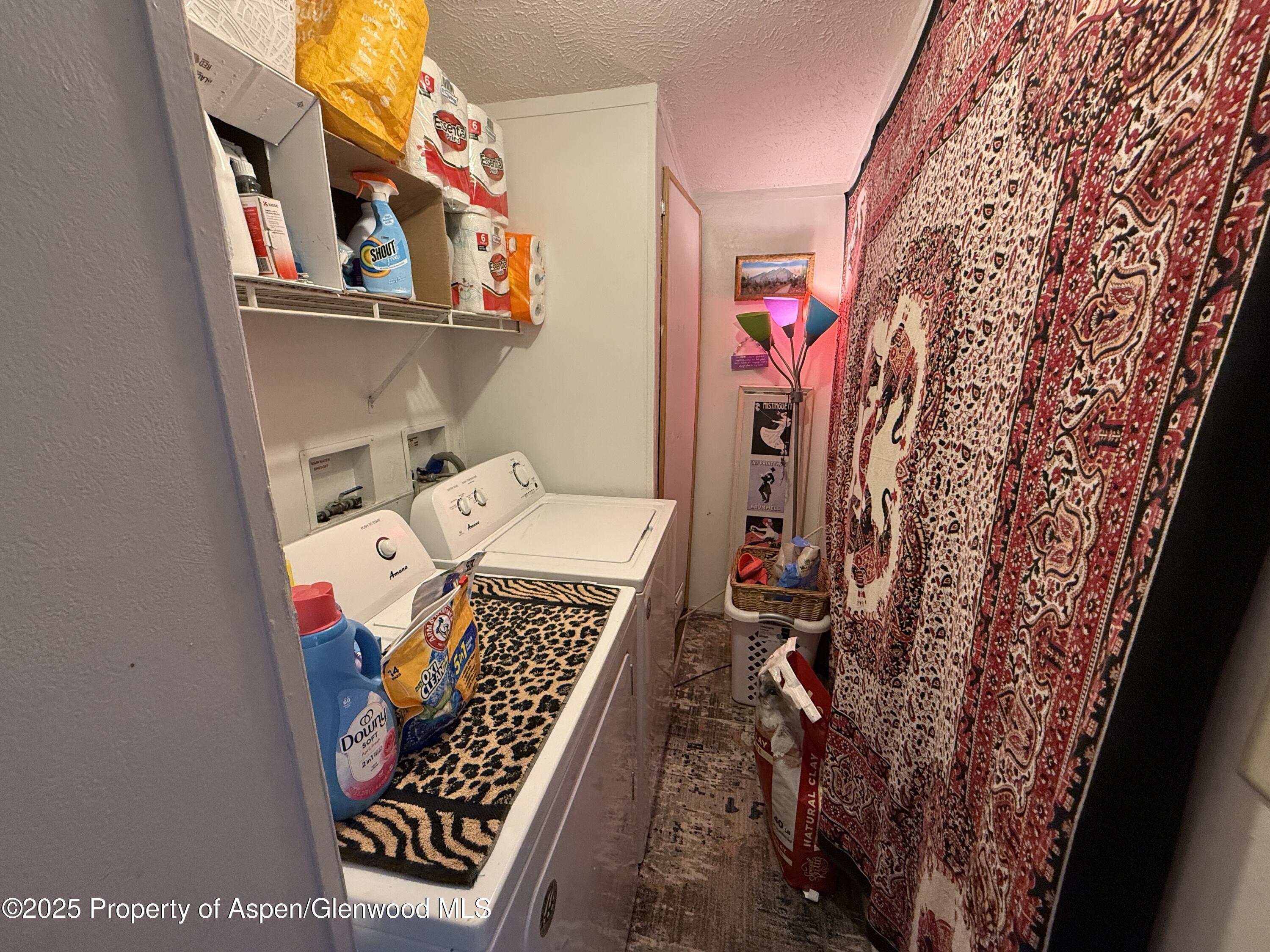 312 Ceratosaurus Circle Dinosaur CO 81610