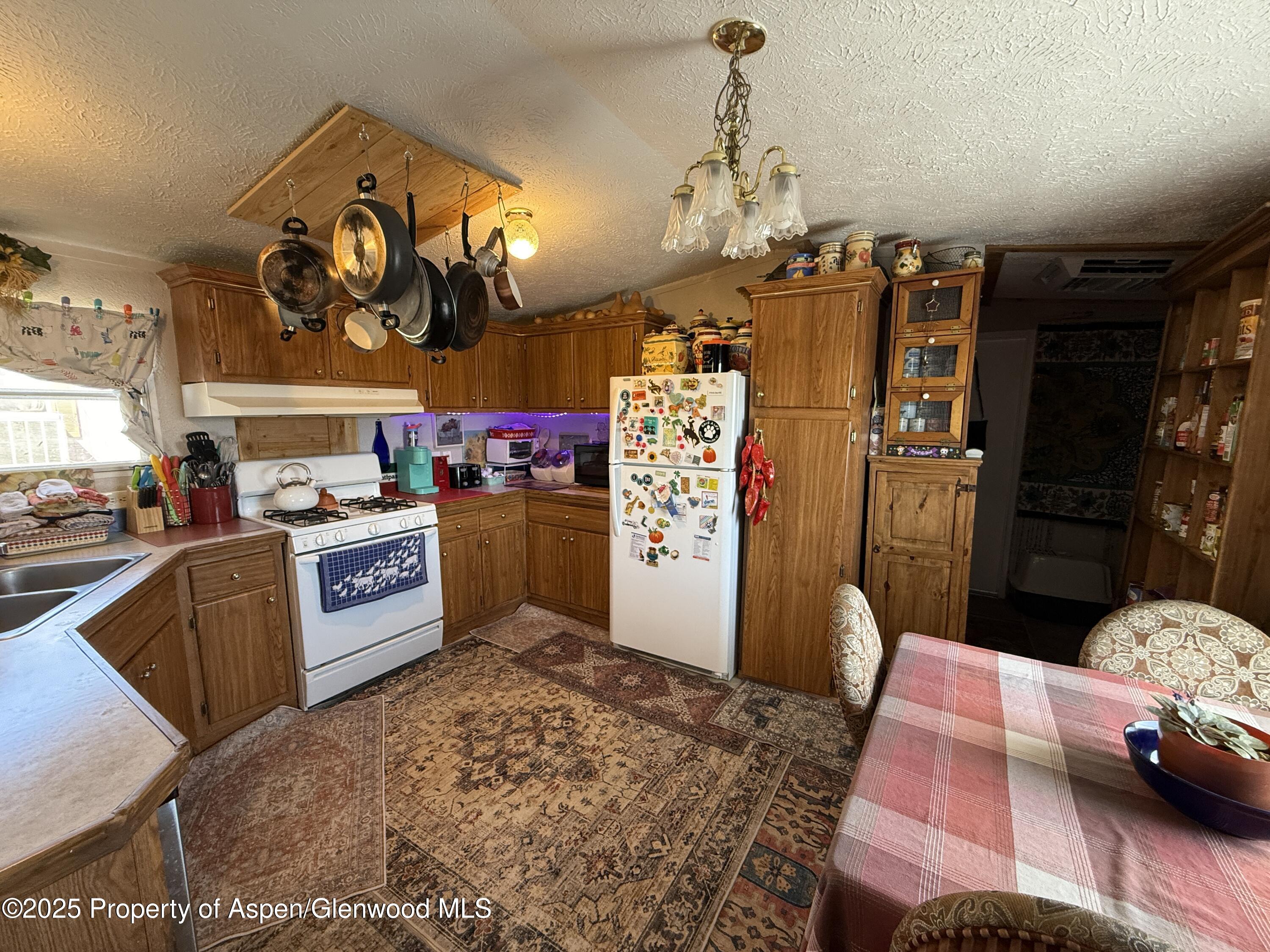 312 Ceratosaurus Circle Dinosaur CO 81610