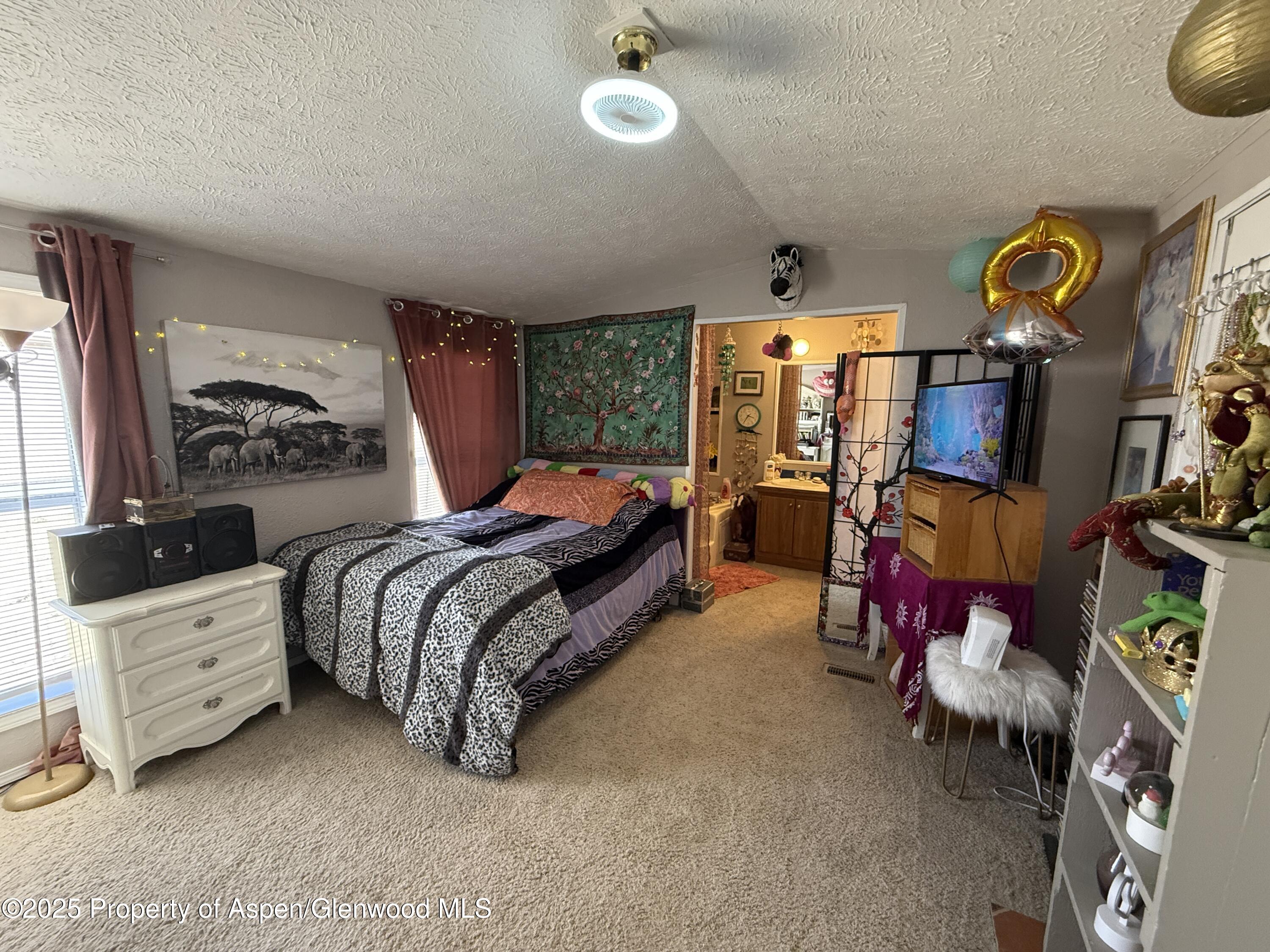 312 Ceratosaurus Circle Dinosaur CO 81610