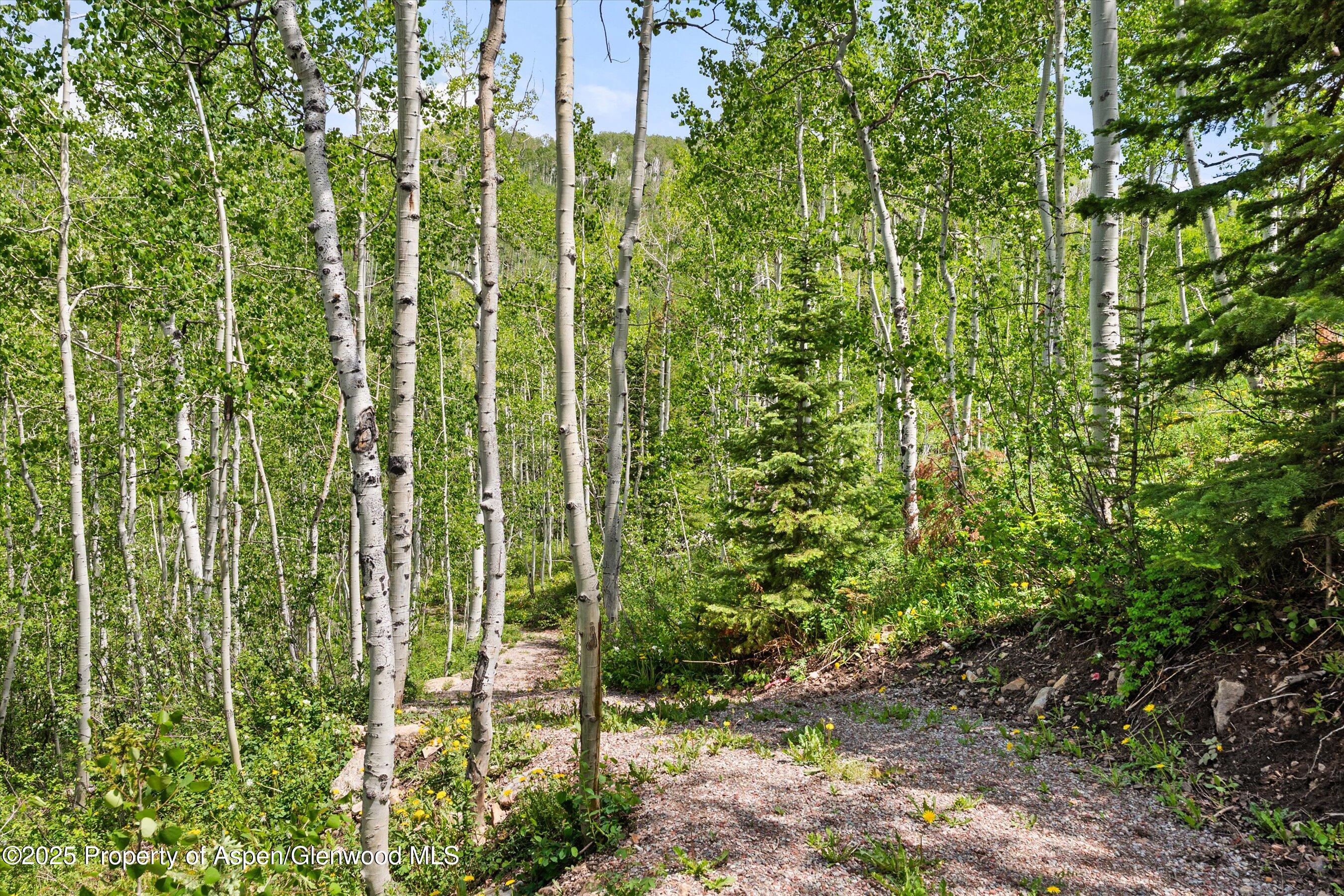 1234 Wood Road Snowmass Village CO 81615