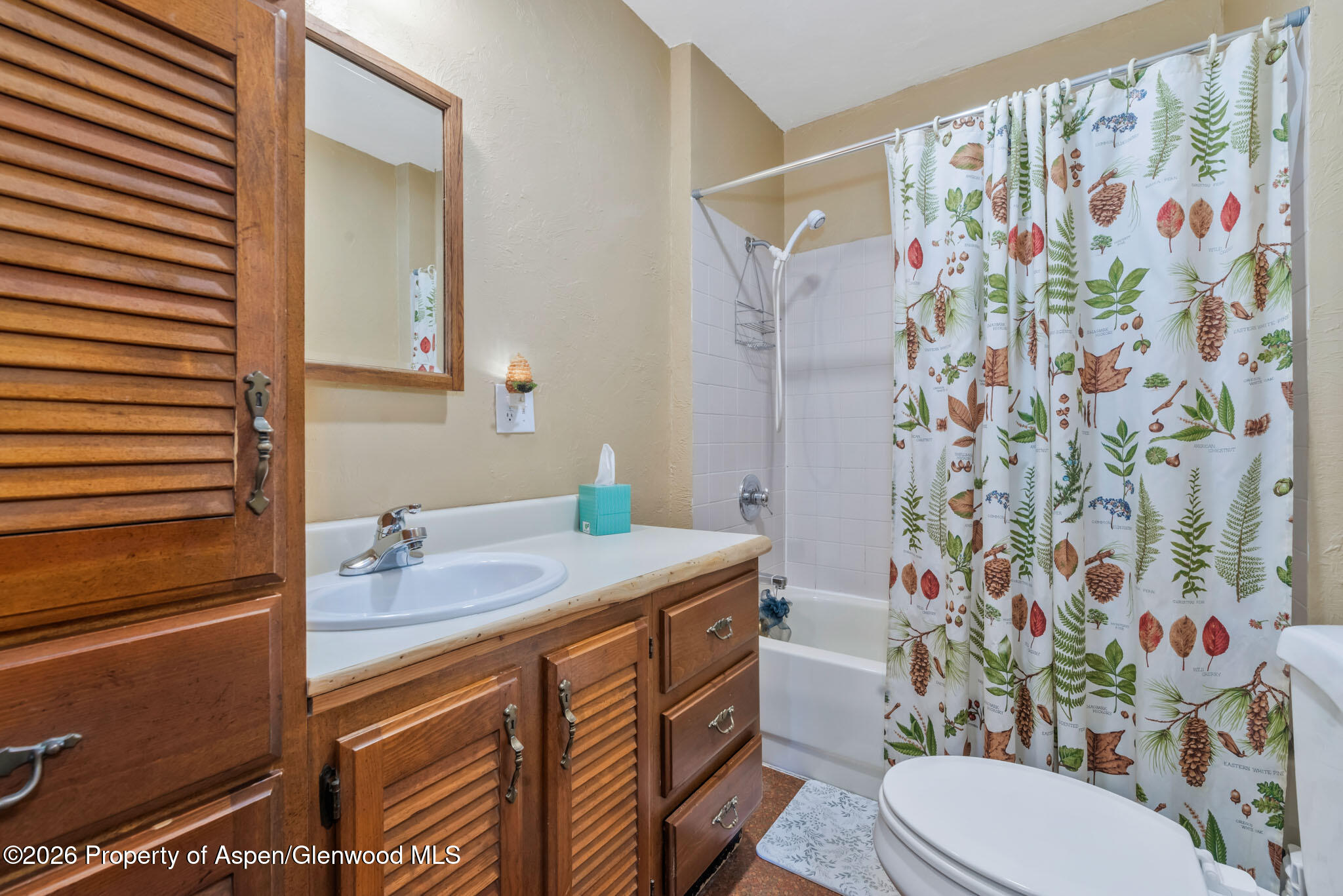 517 E Jefferson Avenue Hayden CO 81639