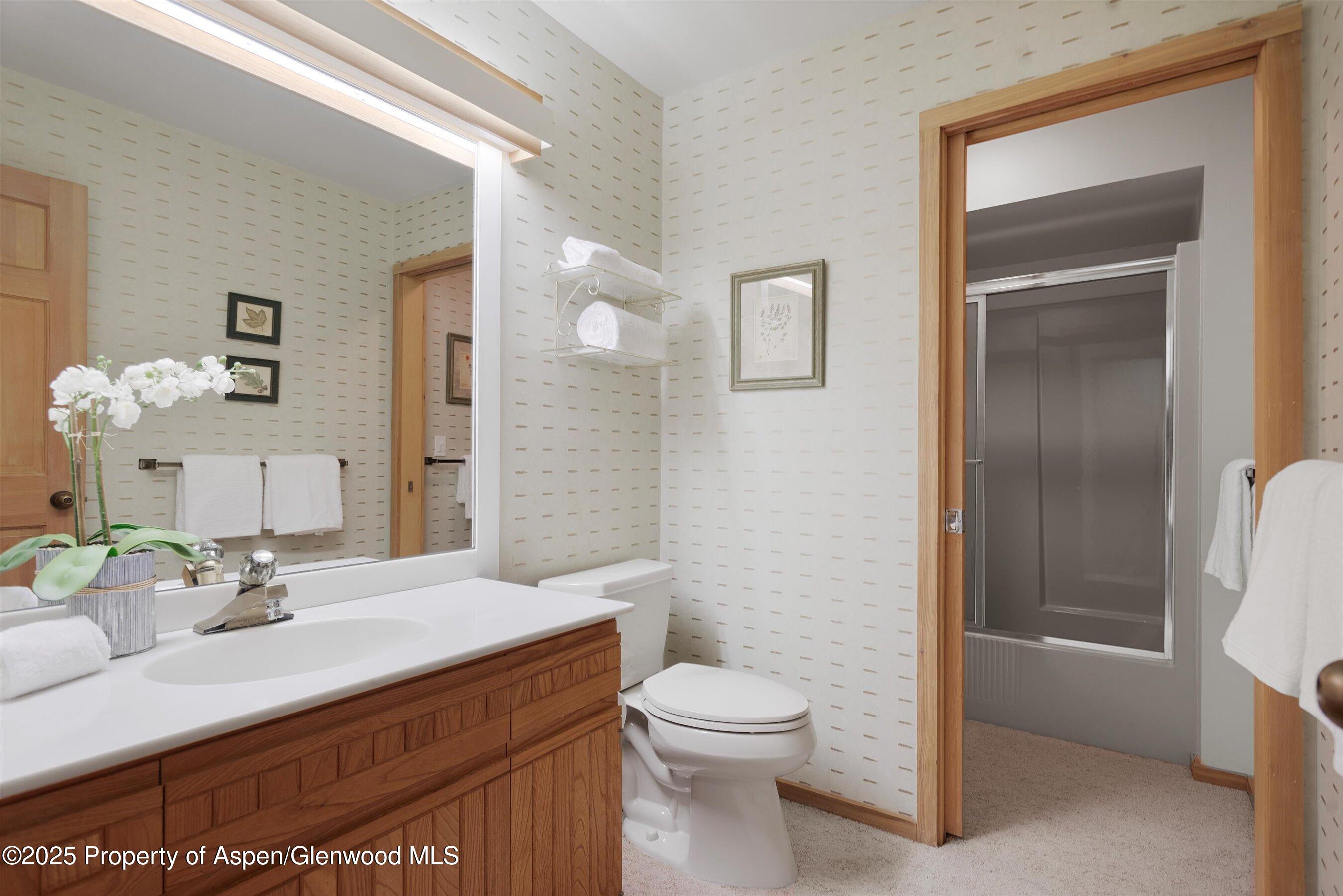 28 Larkspur Lane Aspen CO 81611