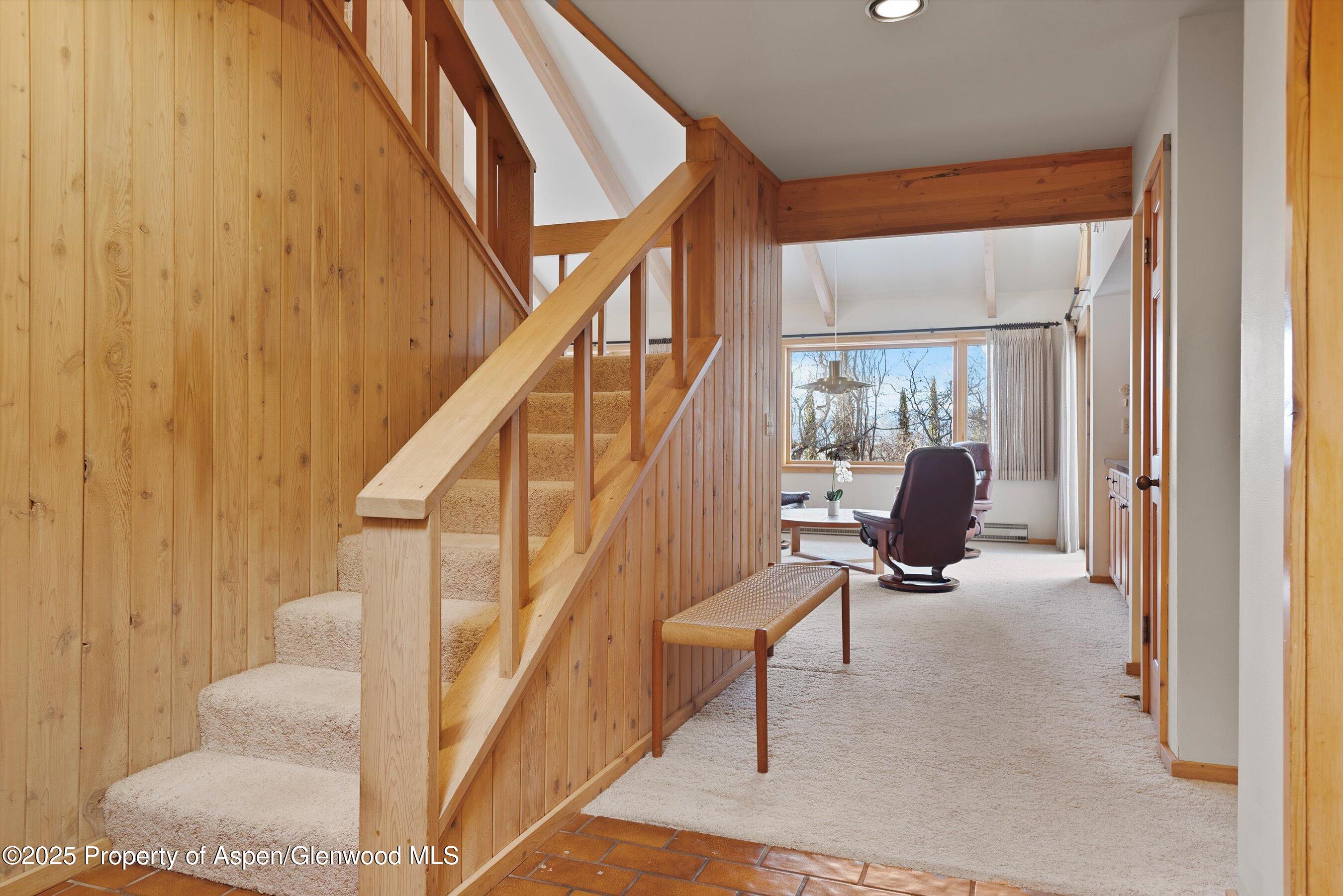 28 Larkspur Lane Aspen CO 81611