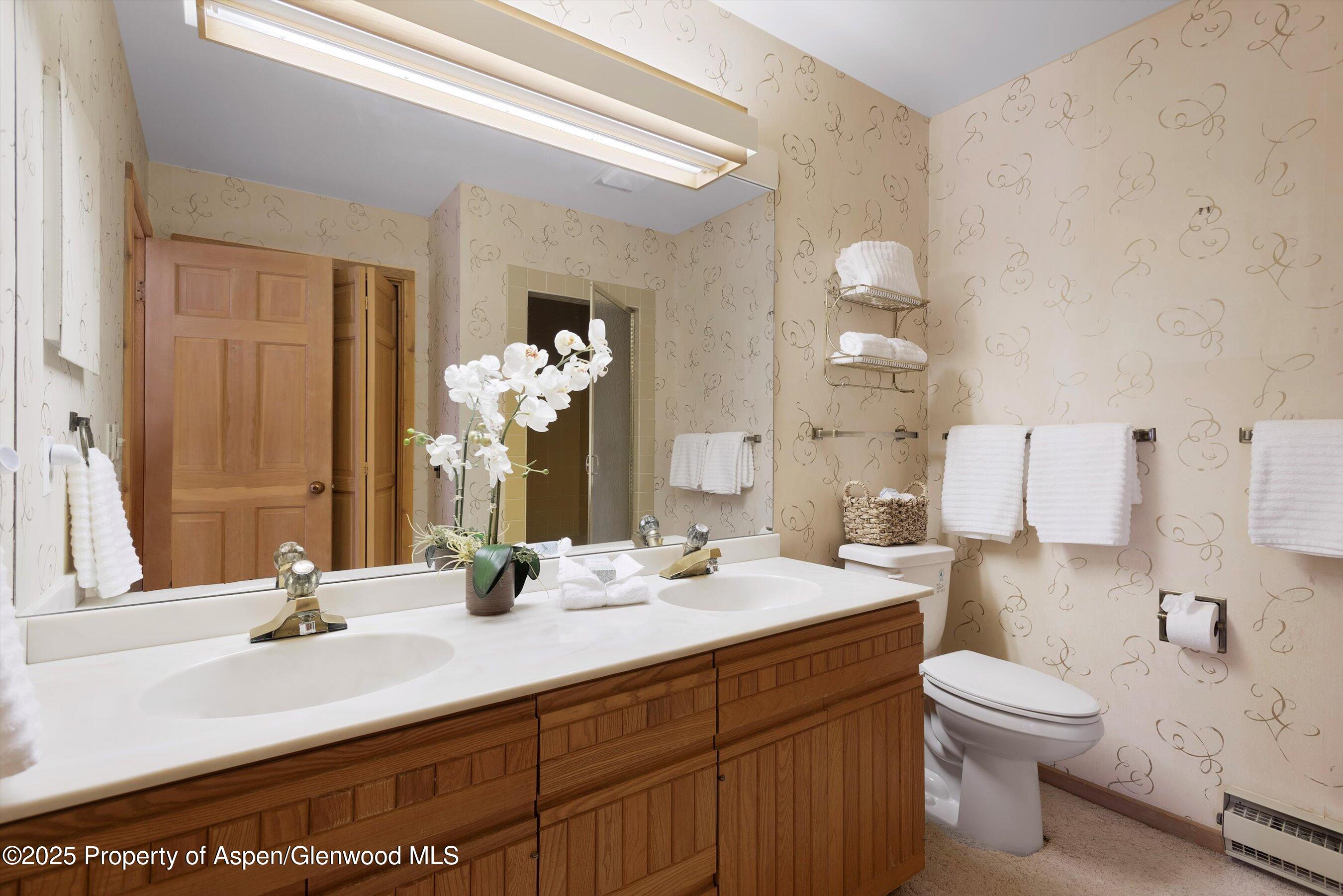 28 Larkspur Lane Aspen CO 81611