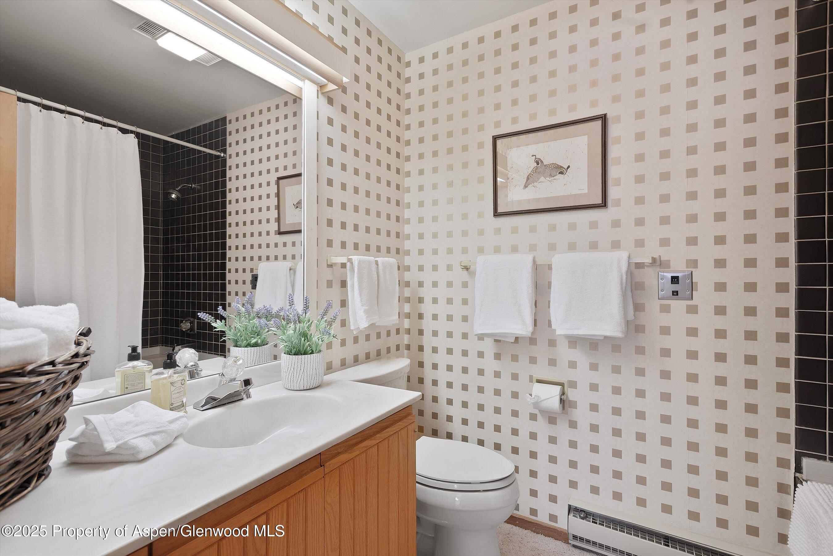 28 Larkspur Lane Aspen CO 81611