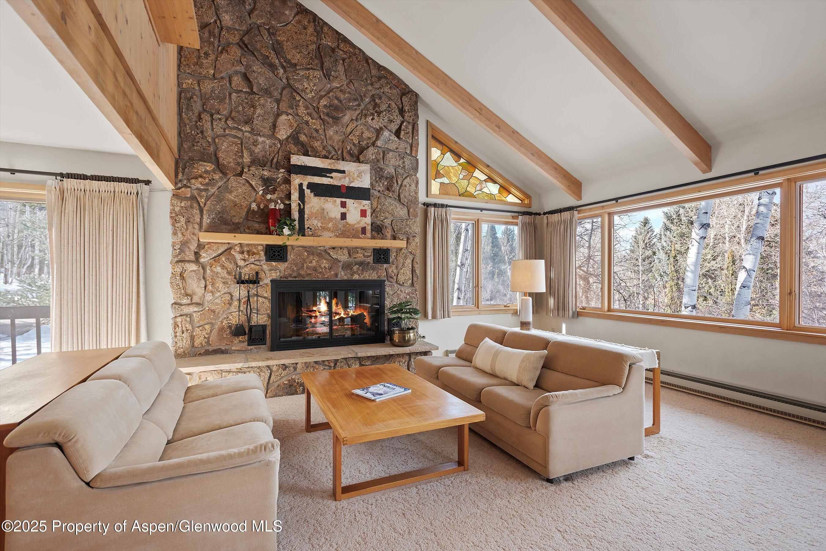 28 Larkspur Lane Aspen CO 81611