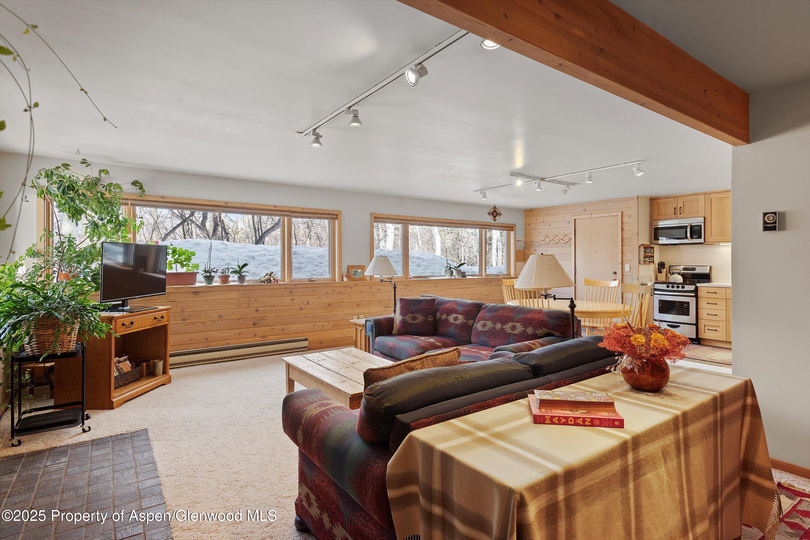 28 Larkspur Lane Aspen CO 81611