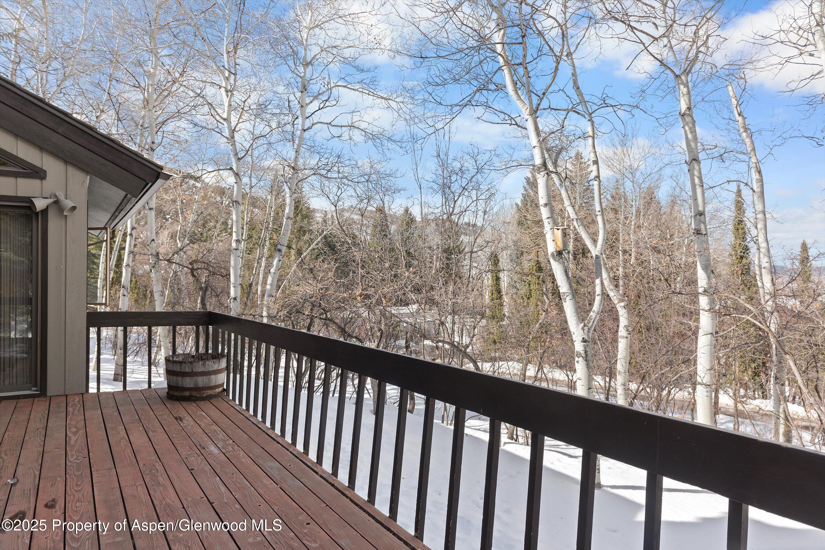 28 Larkspur Lane Aspen CO 81611