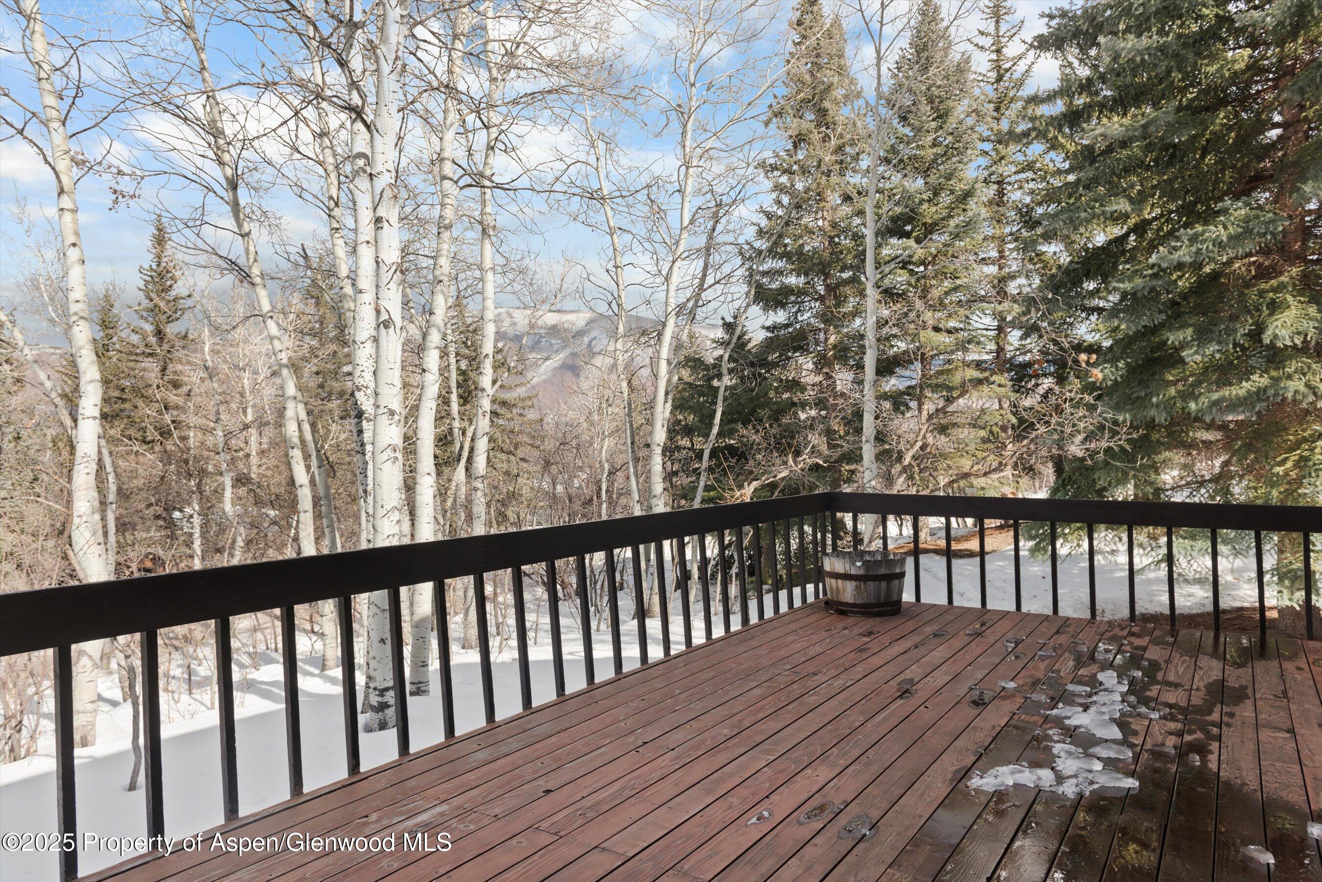 28 Larkspur Lane Aspen CO 81611