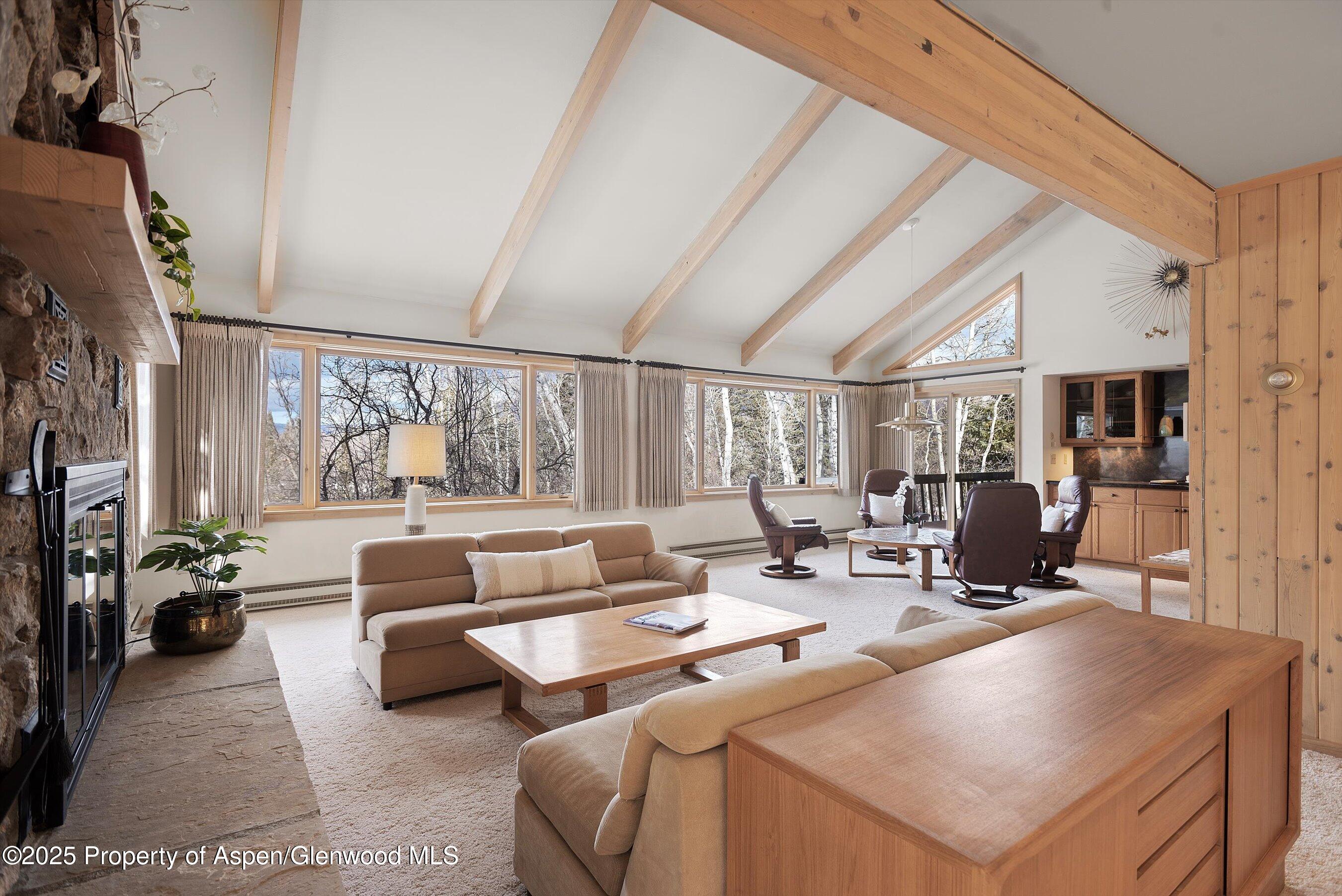 28 Larkspur Lane Aspen CO 81611