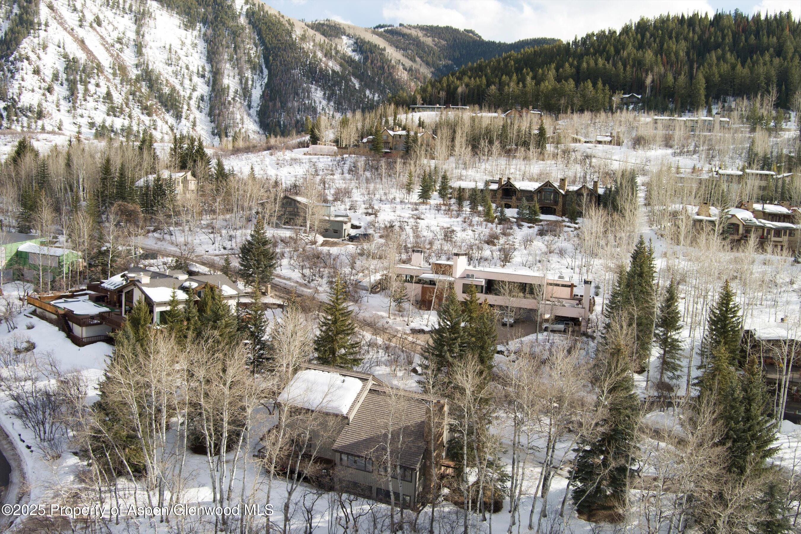 28 Larkspur Lane Aspen CO 81611