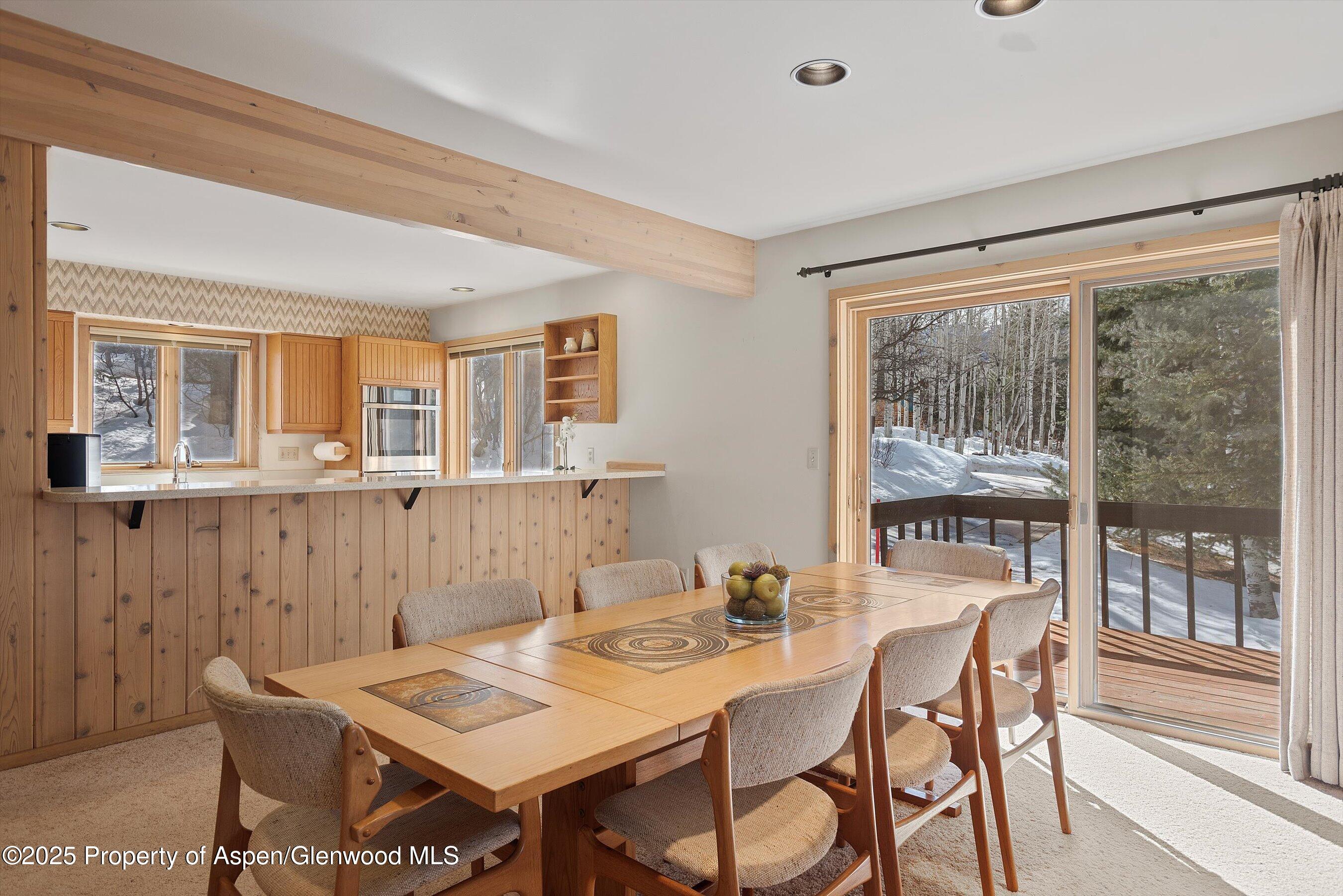 28 Larkspur Lane Aspen CO 81611