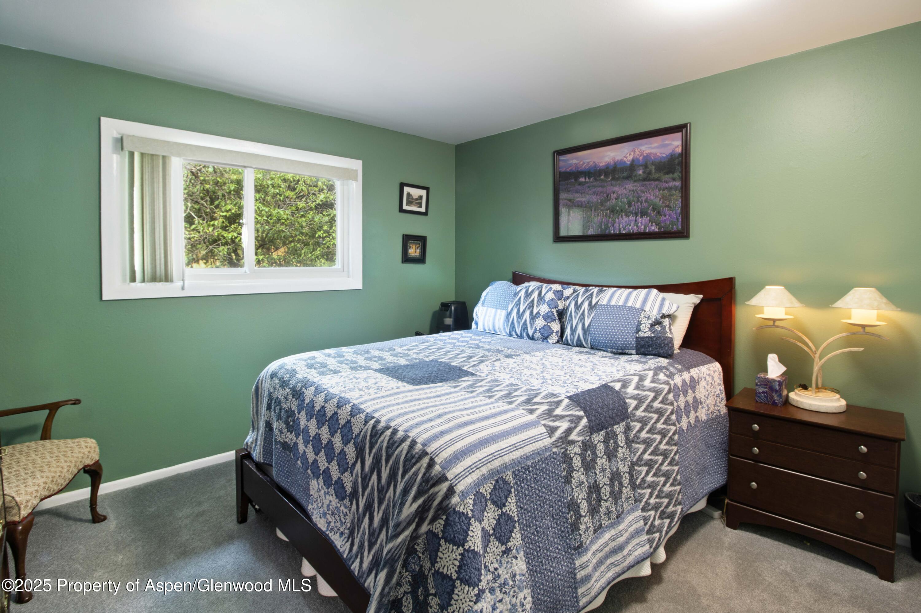 491 Morrison Street Carbondale CO 81623