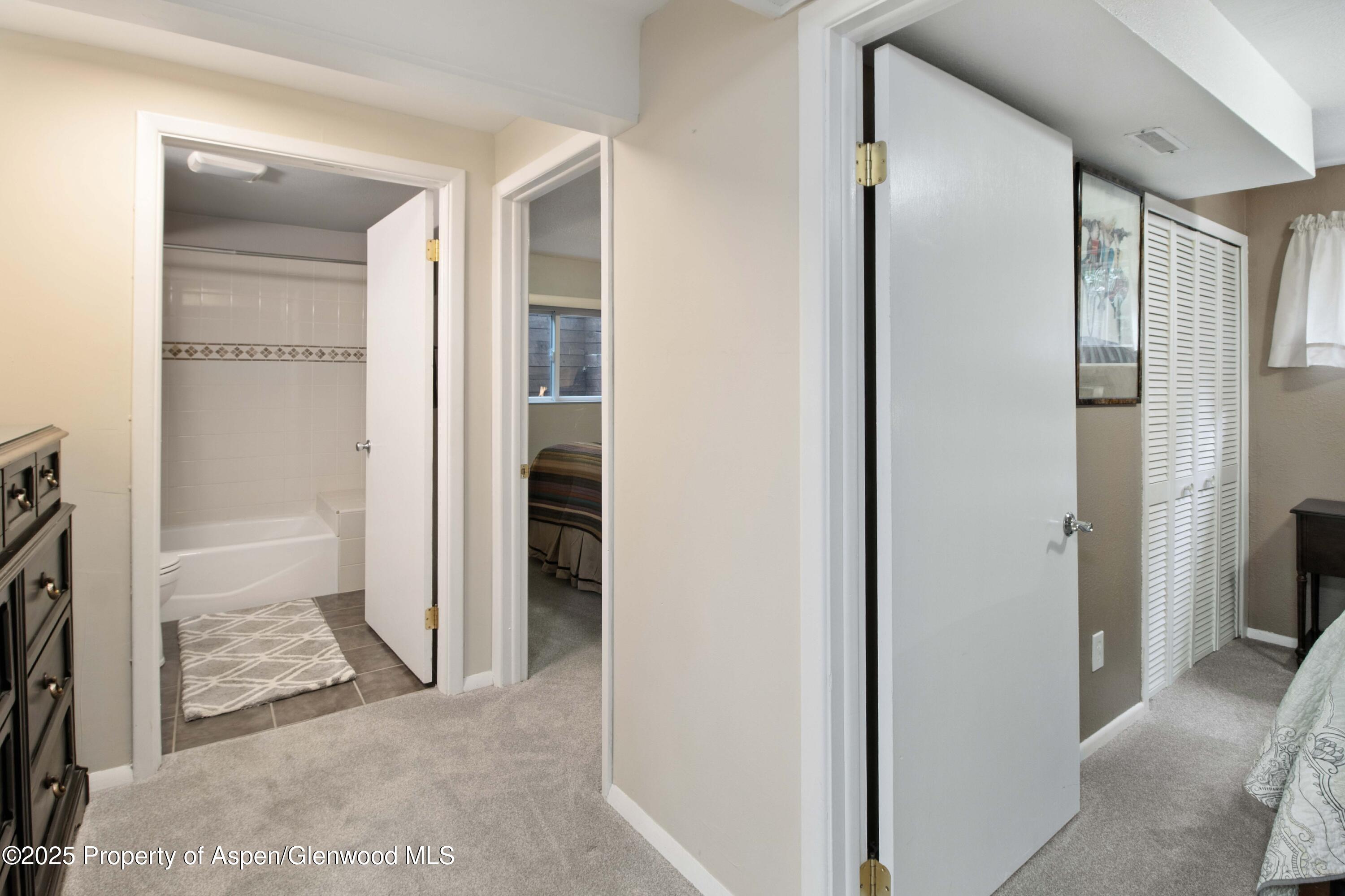 491 Morrison Street Carbondale CO 81623