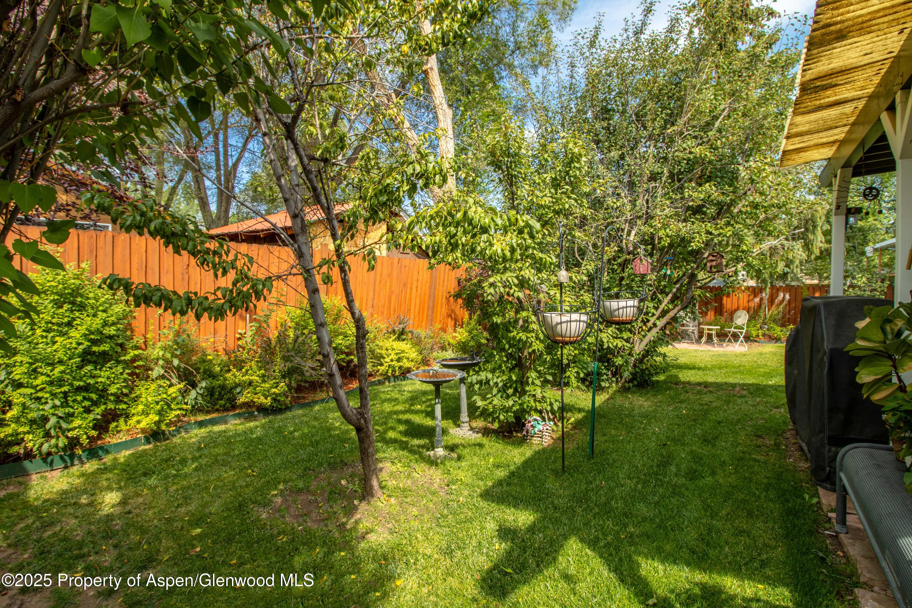 491 Morrison Street Carbondale CO 81623