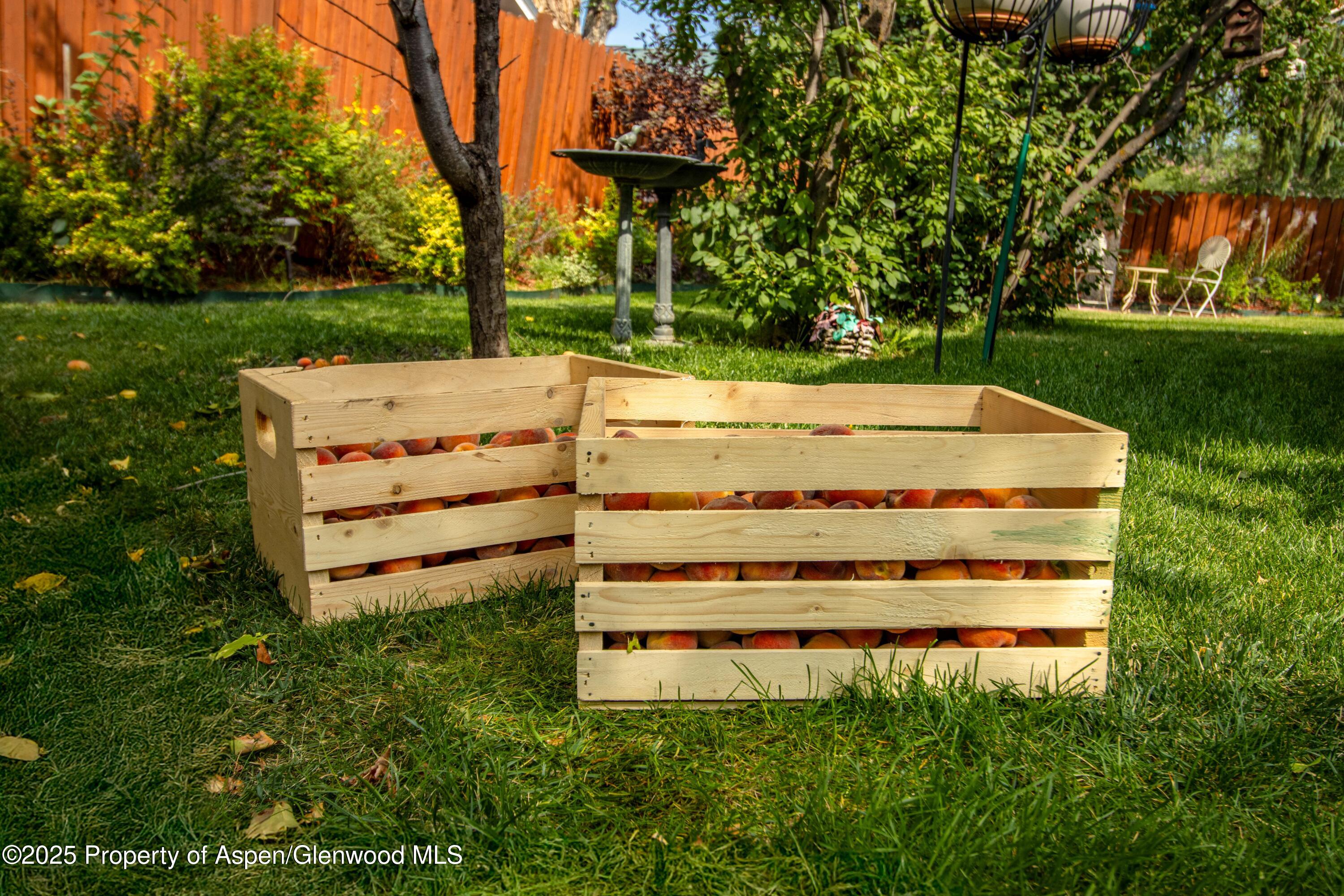 491 Morrison Street Carbondale CO 81623