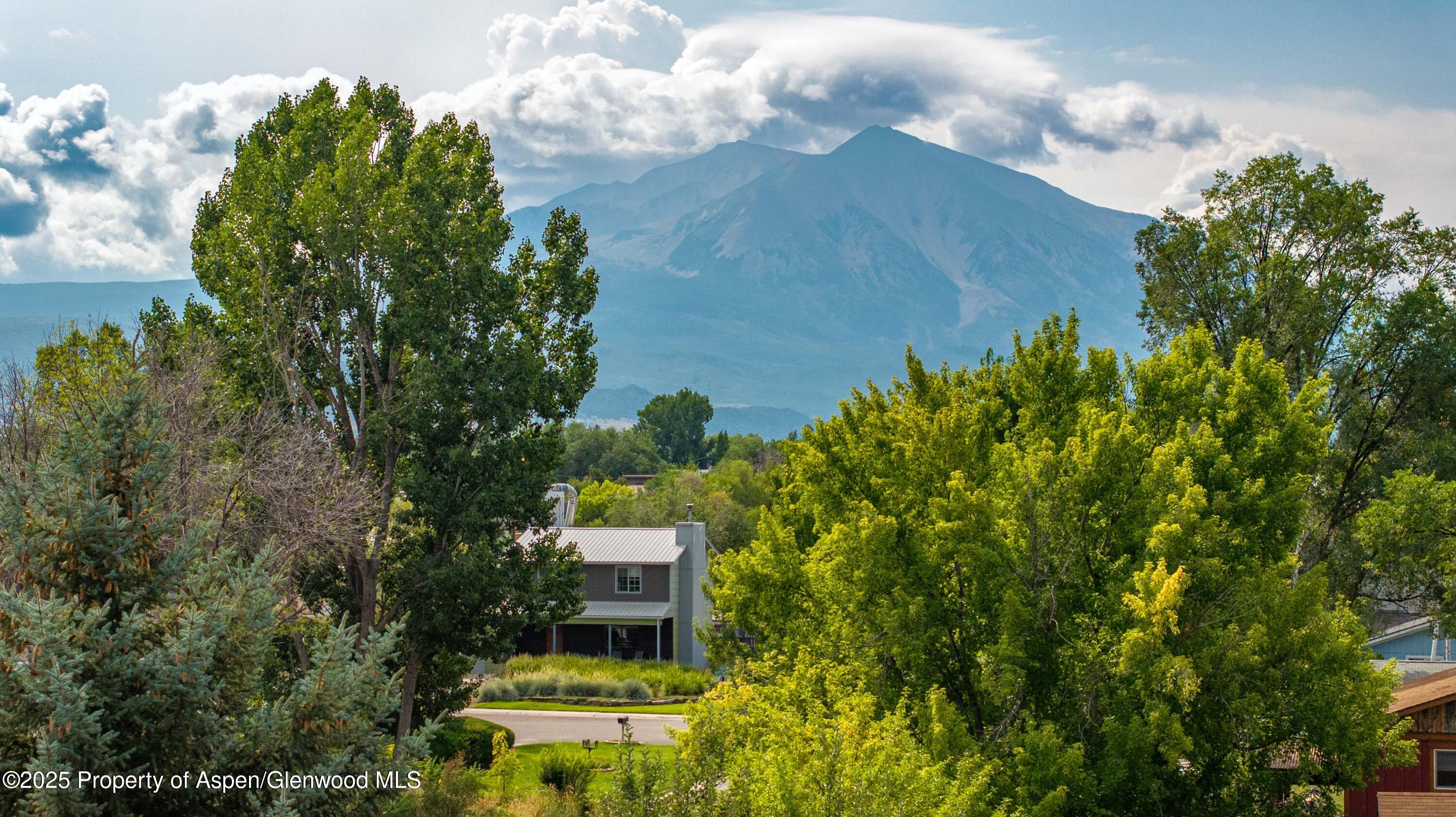 491 Morrison Street Carbondale CO 81623