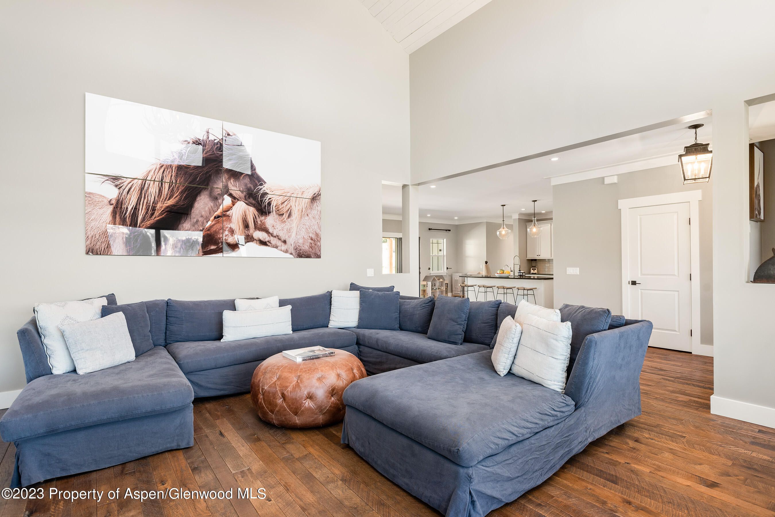 43 Sopris Lane Carbondale CO 81623