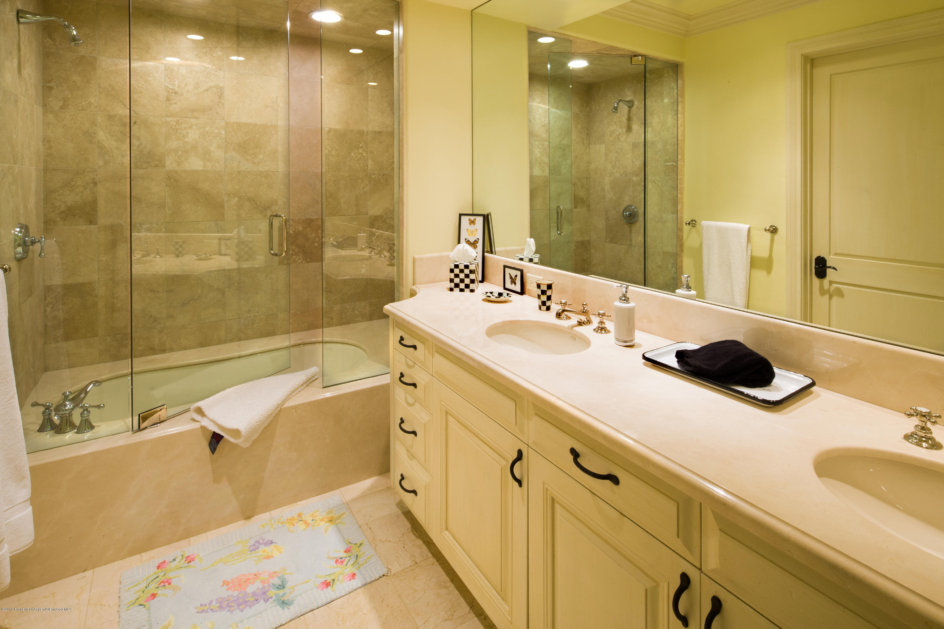 735 E Francis Street Aspen CO 81611