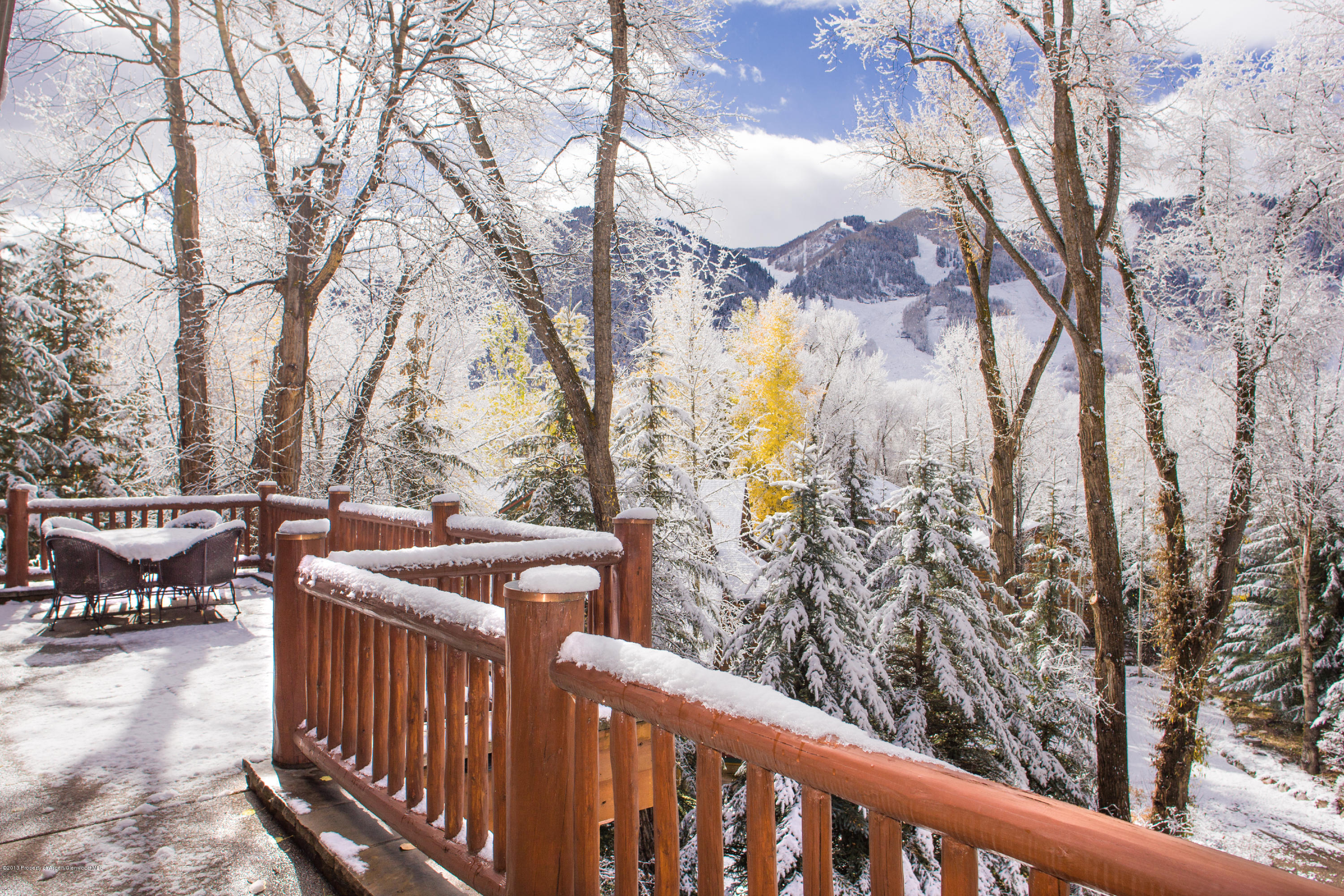 735 E Francis Street Aspen CO 81611