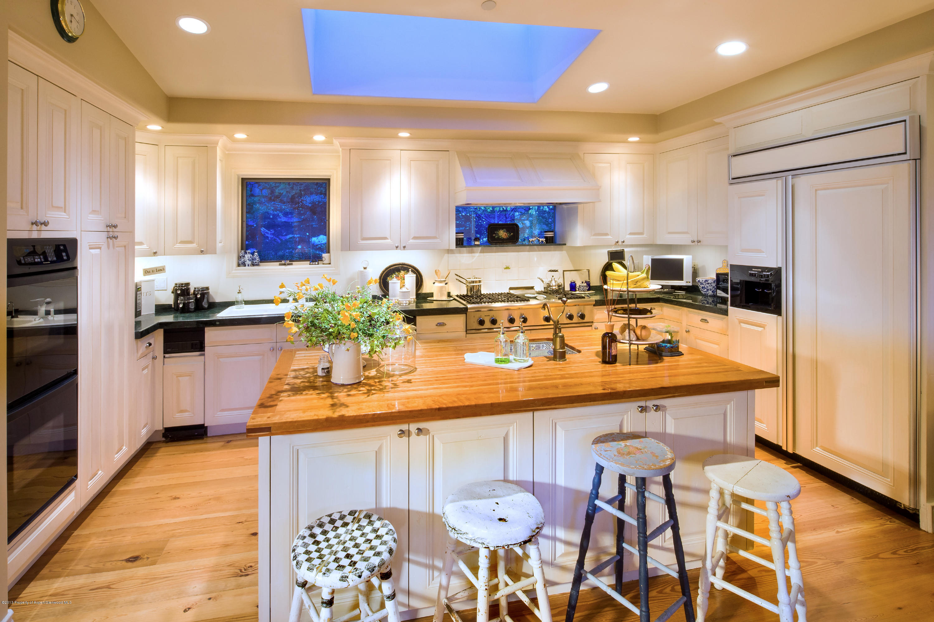 735 E Francis Street Aspen CO 81611