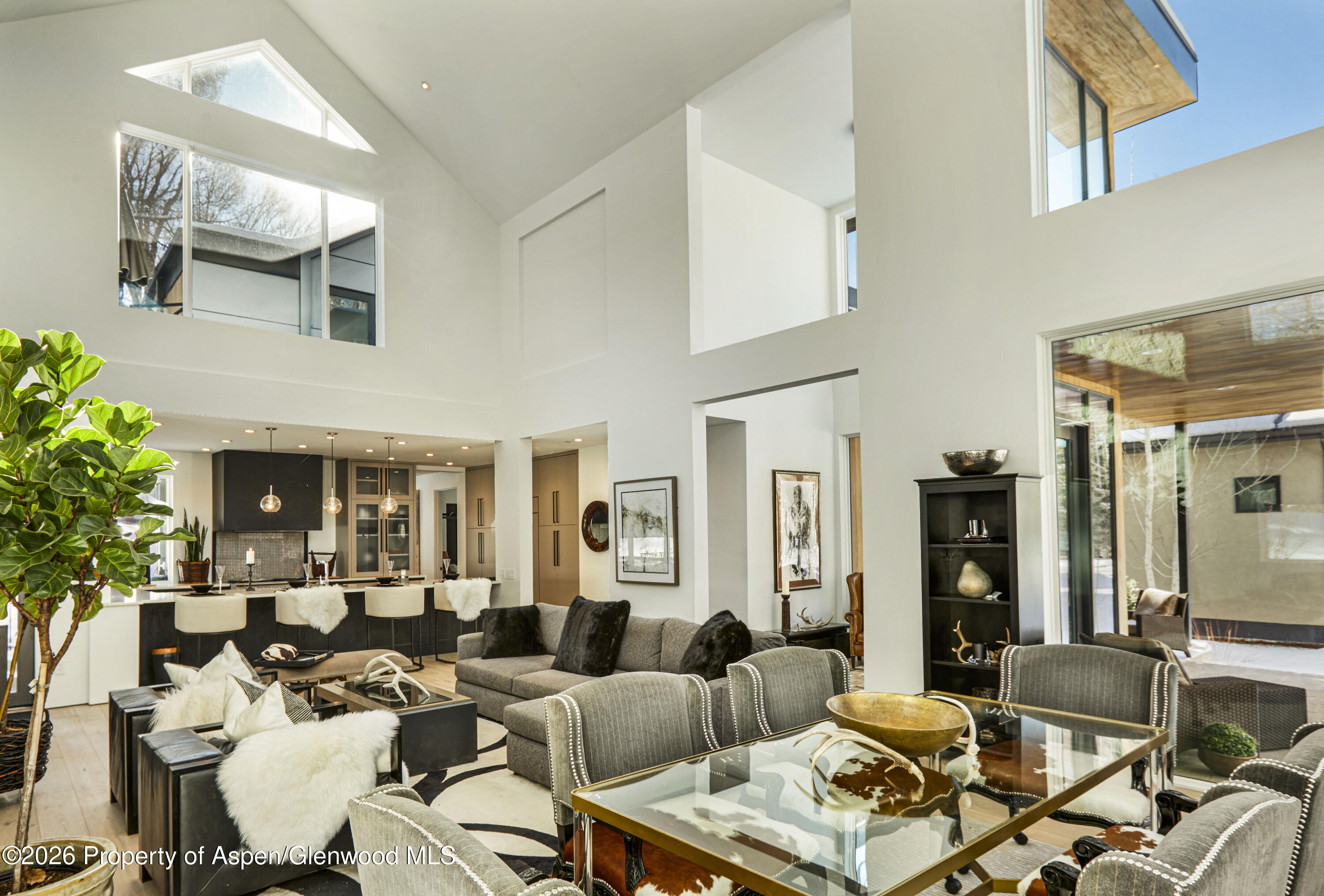 813 W Smuggler Street Aspen CO 81611