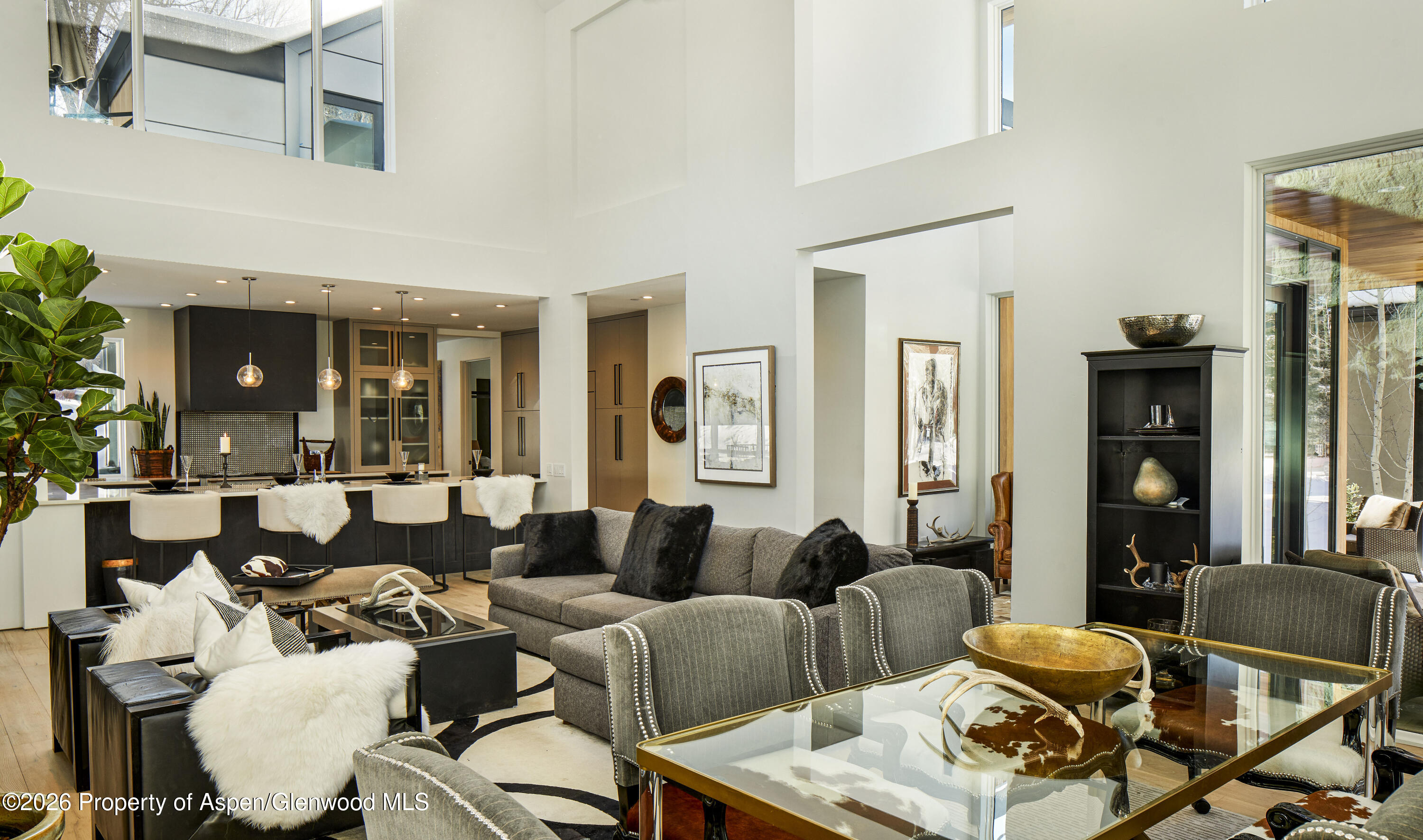 813 W Smuggler Street Aspen CO 81611