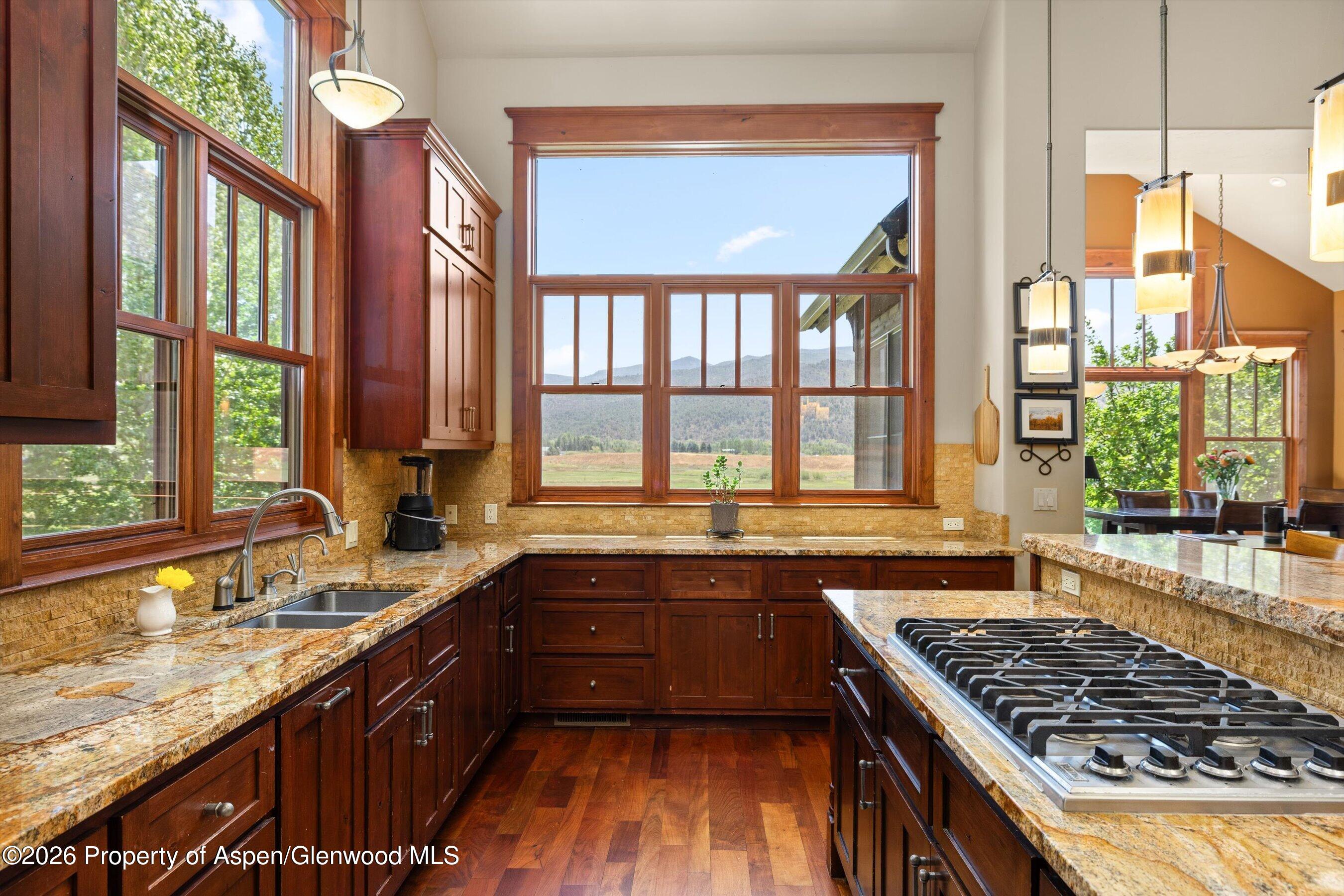 521 Larkspur Drive Carbondale CO 81623