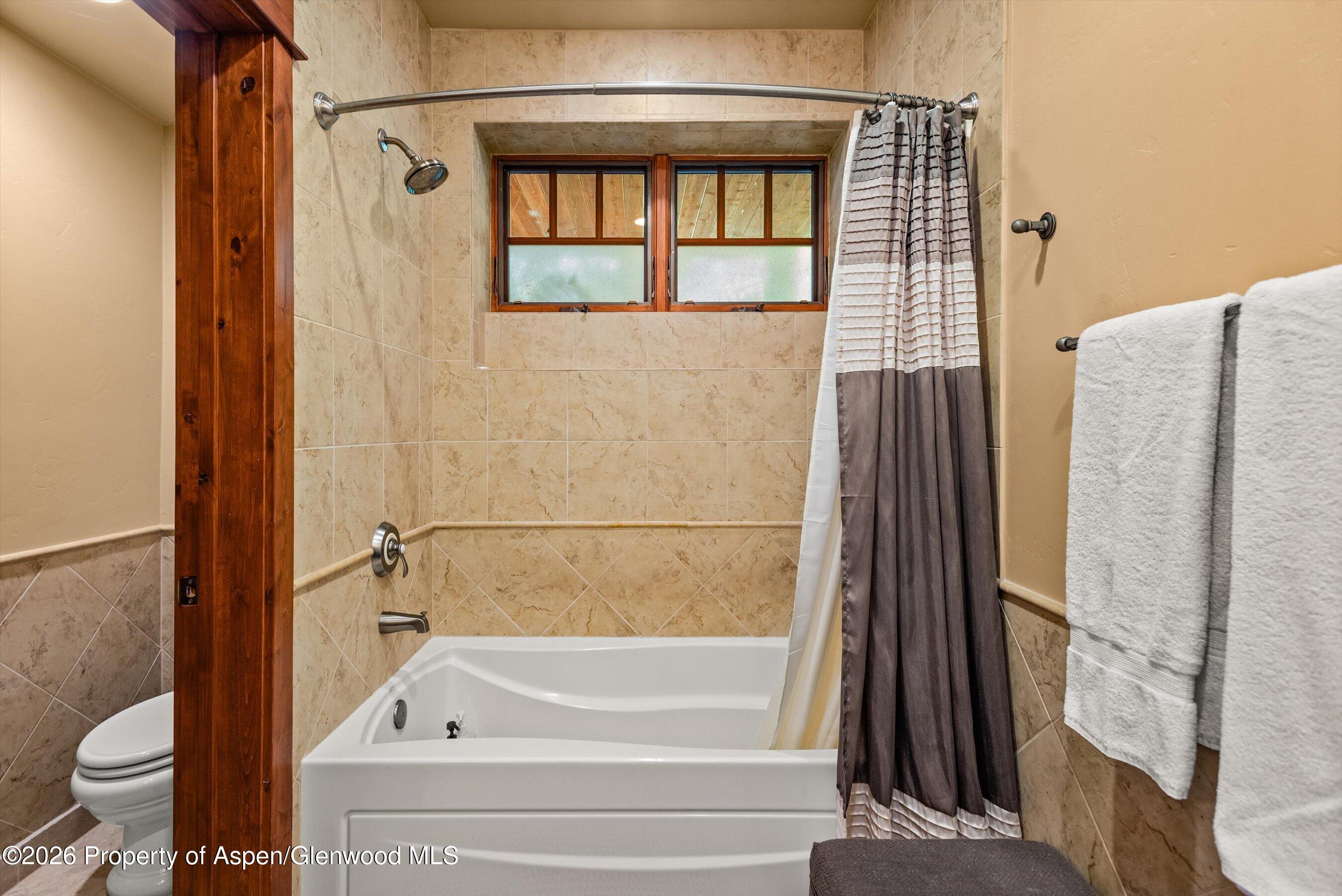 521 Larkspur Drive Carbondale CO 81623
