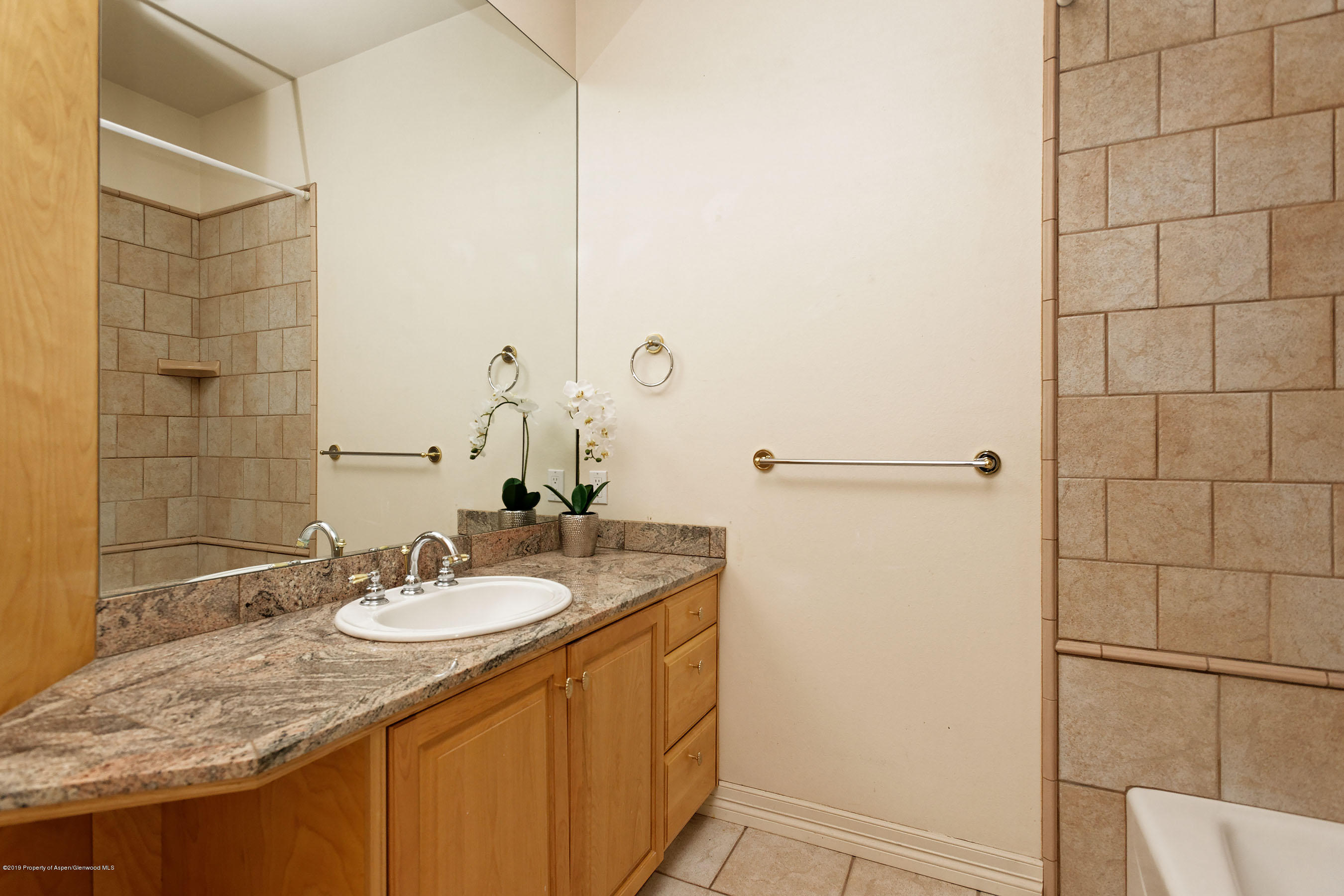 170 Sam Grange Court Carbondale CO 81623