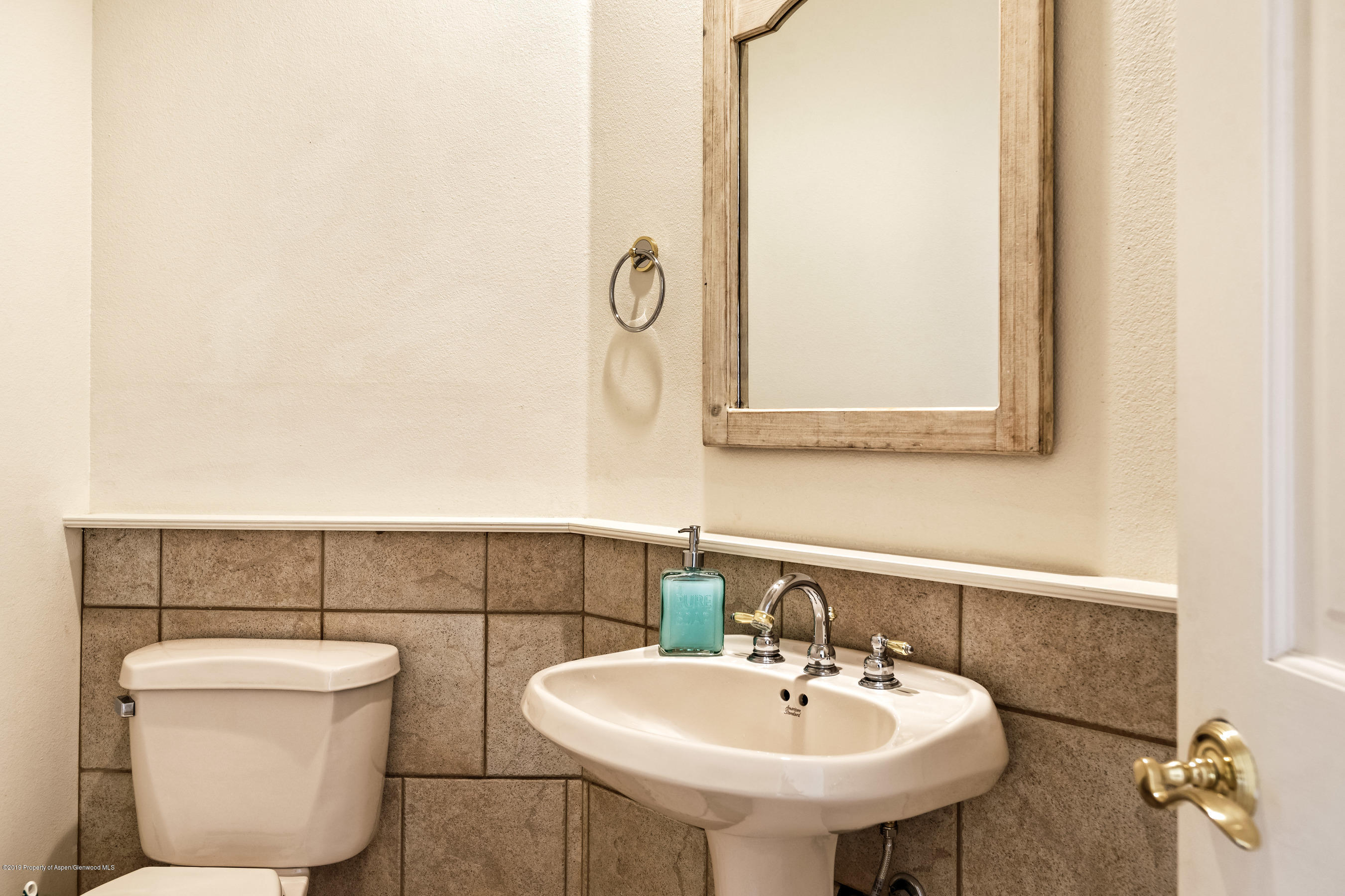 170 Sam Grange Court Carbondale CO 81623