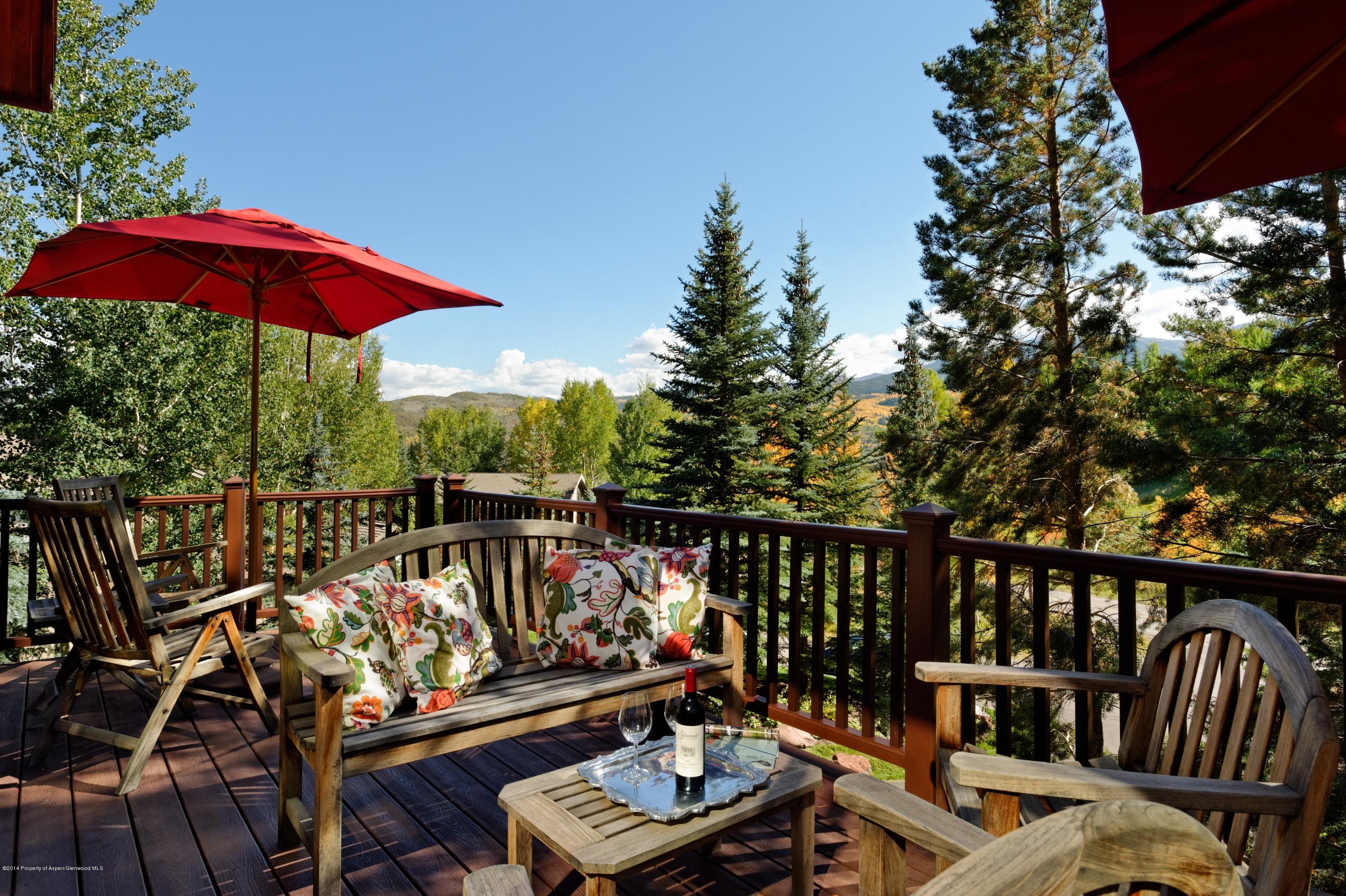 41 Colt Circle Snowmass Village CO 81615