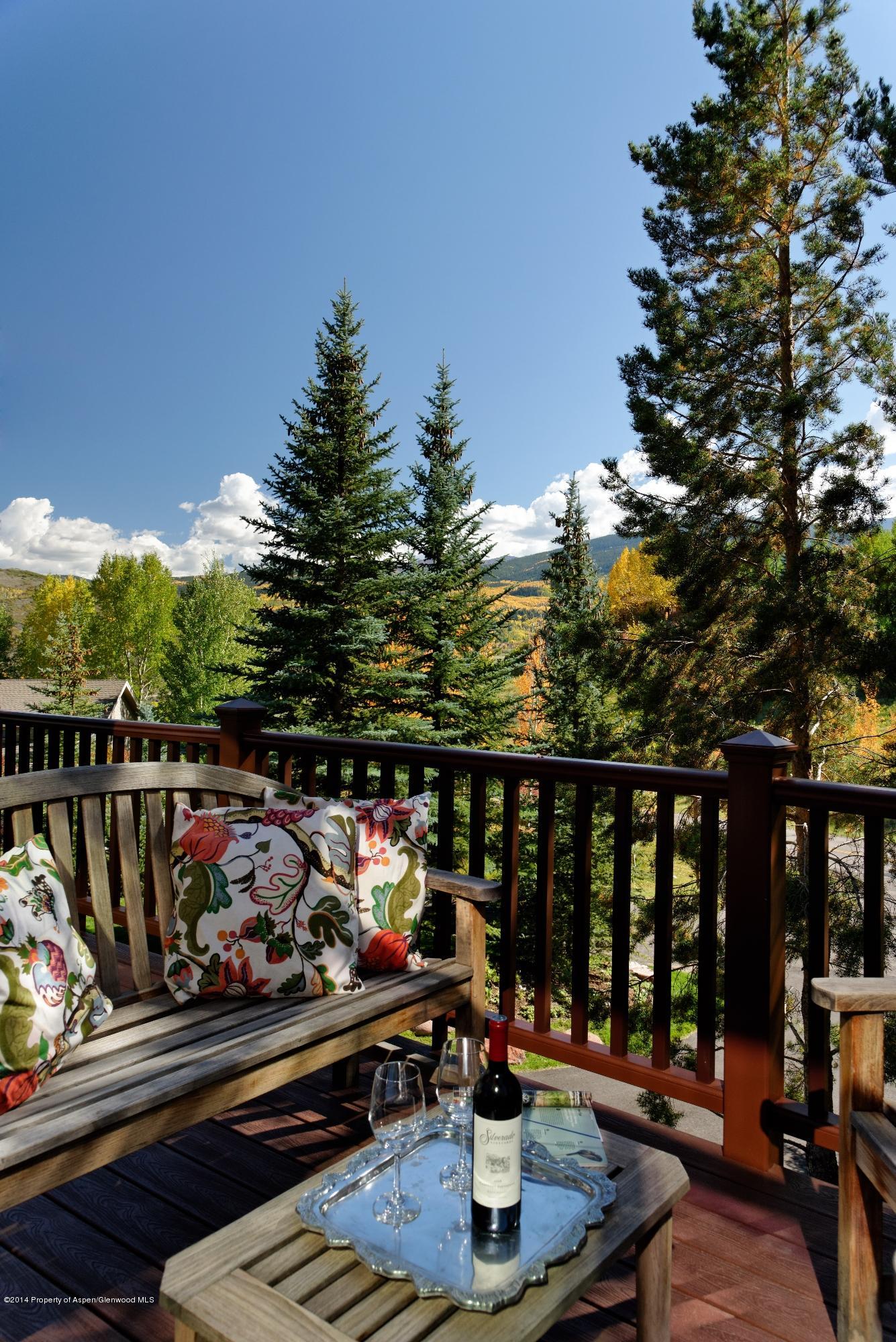 41 Colt Circle Snowmass Village CO 81615