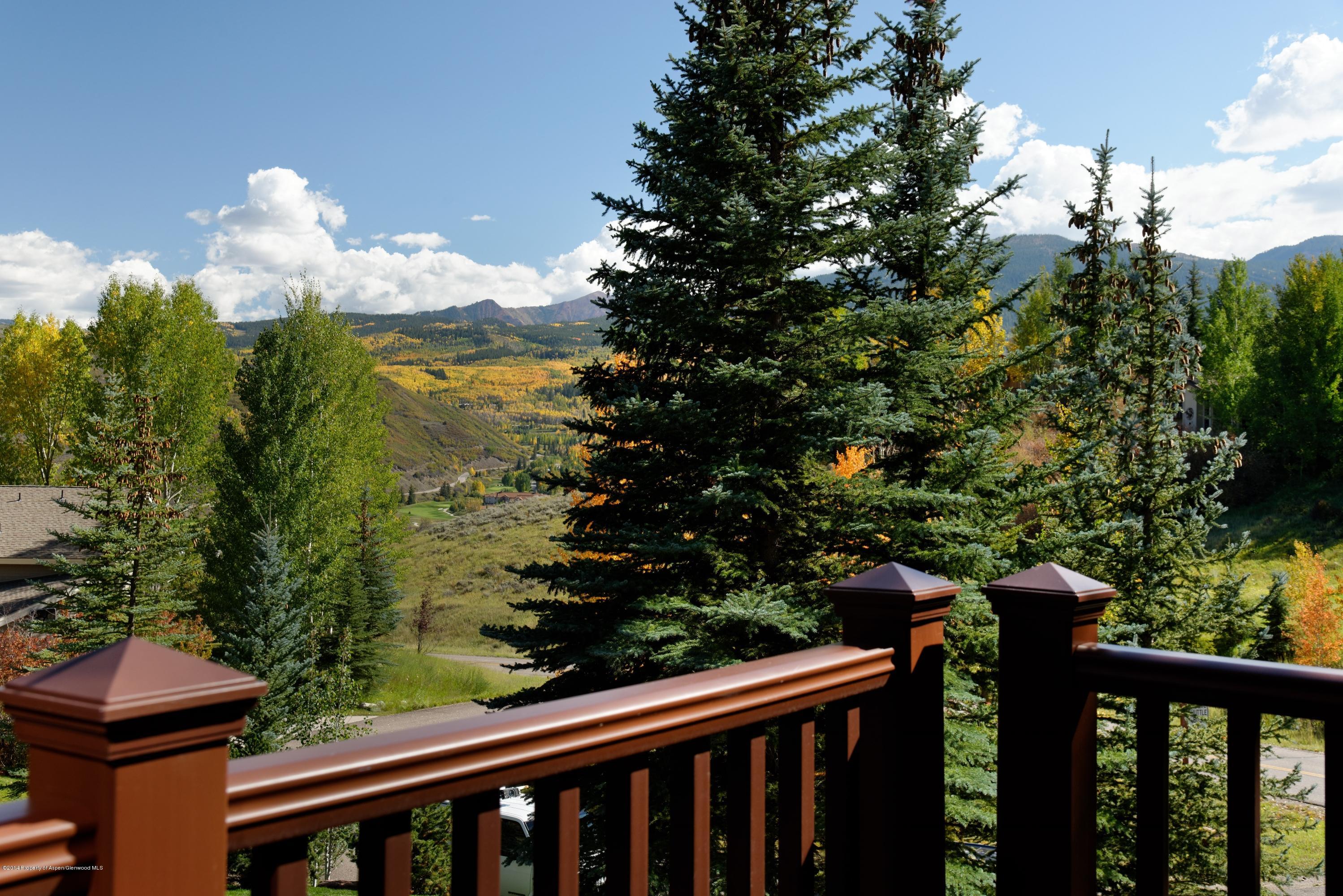 41 Colt Circle Snowmass Village CO 81615